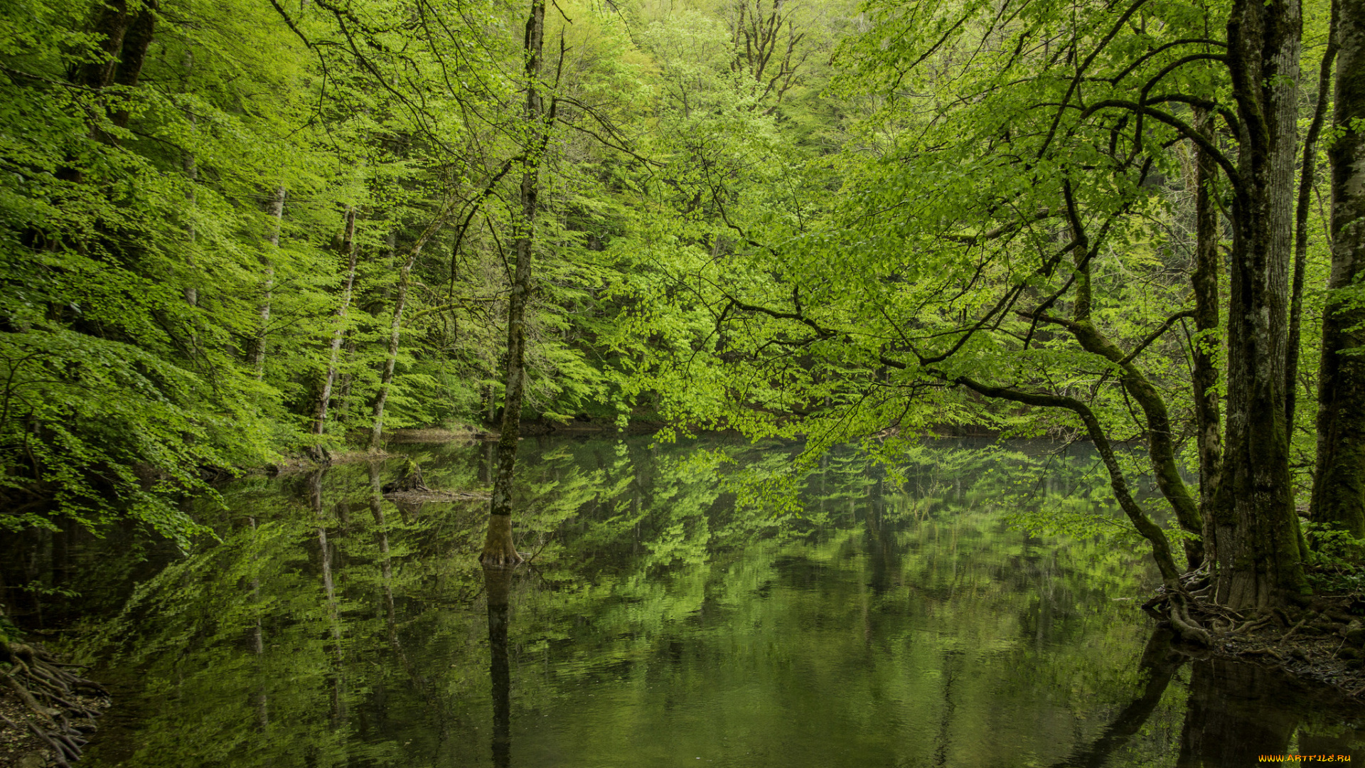 природа, реки, озера, простор