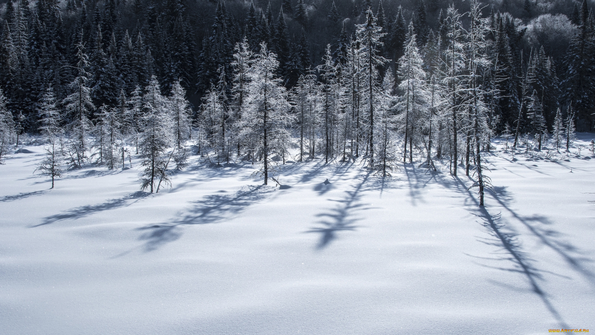 природа, зима, простор