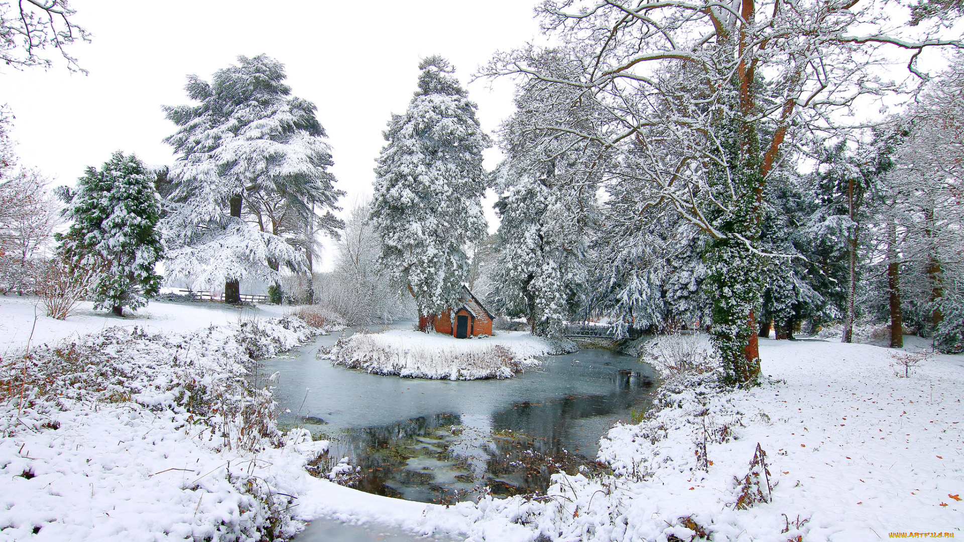 природа, зима, простор