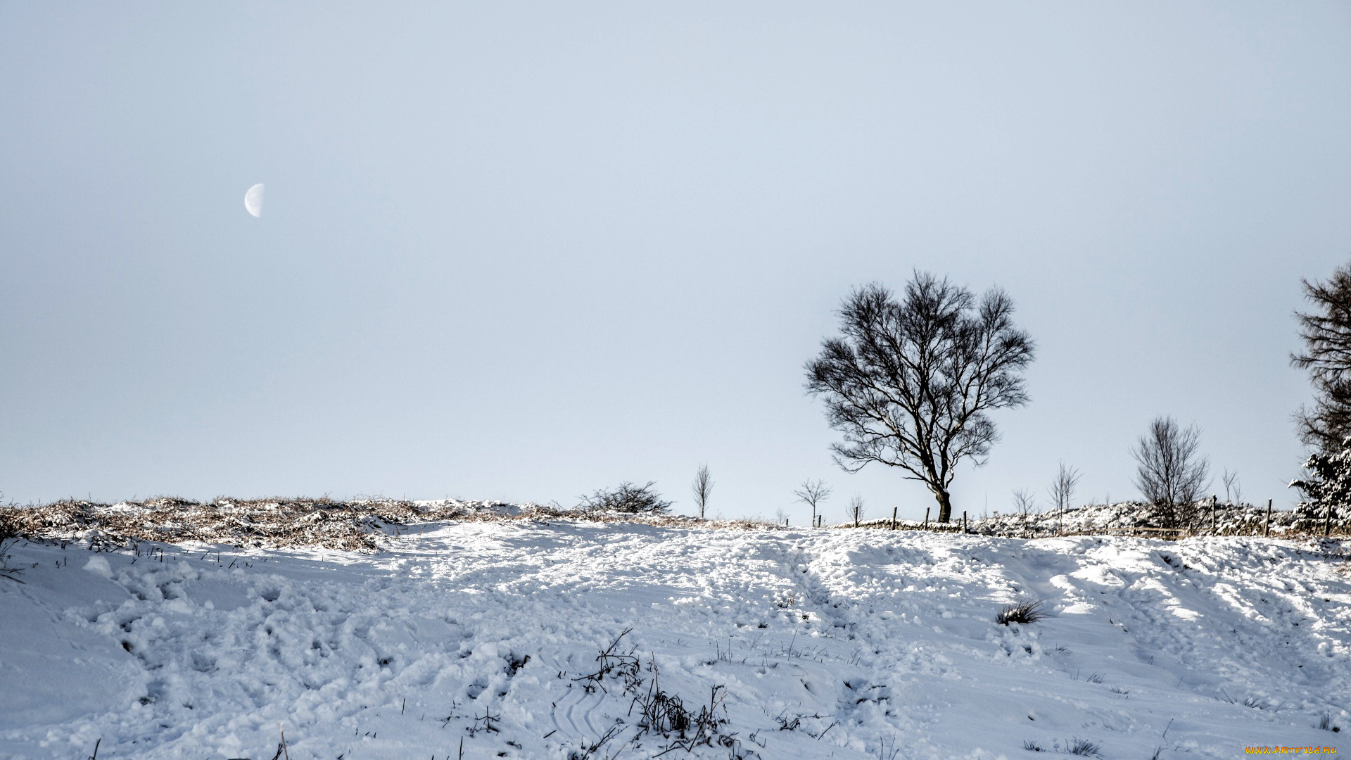 природа, зима, снег