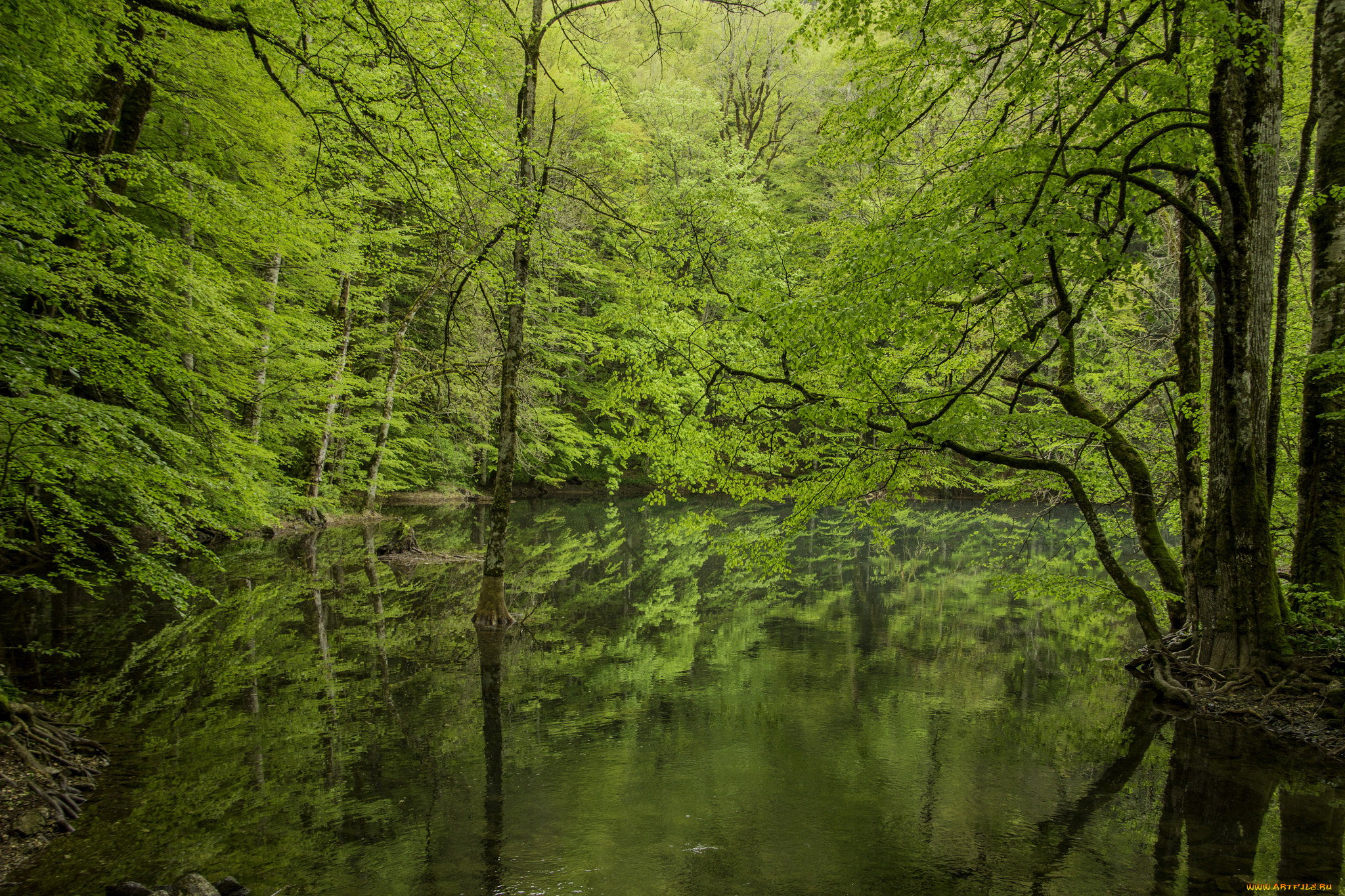 природа, реки, озера, простор