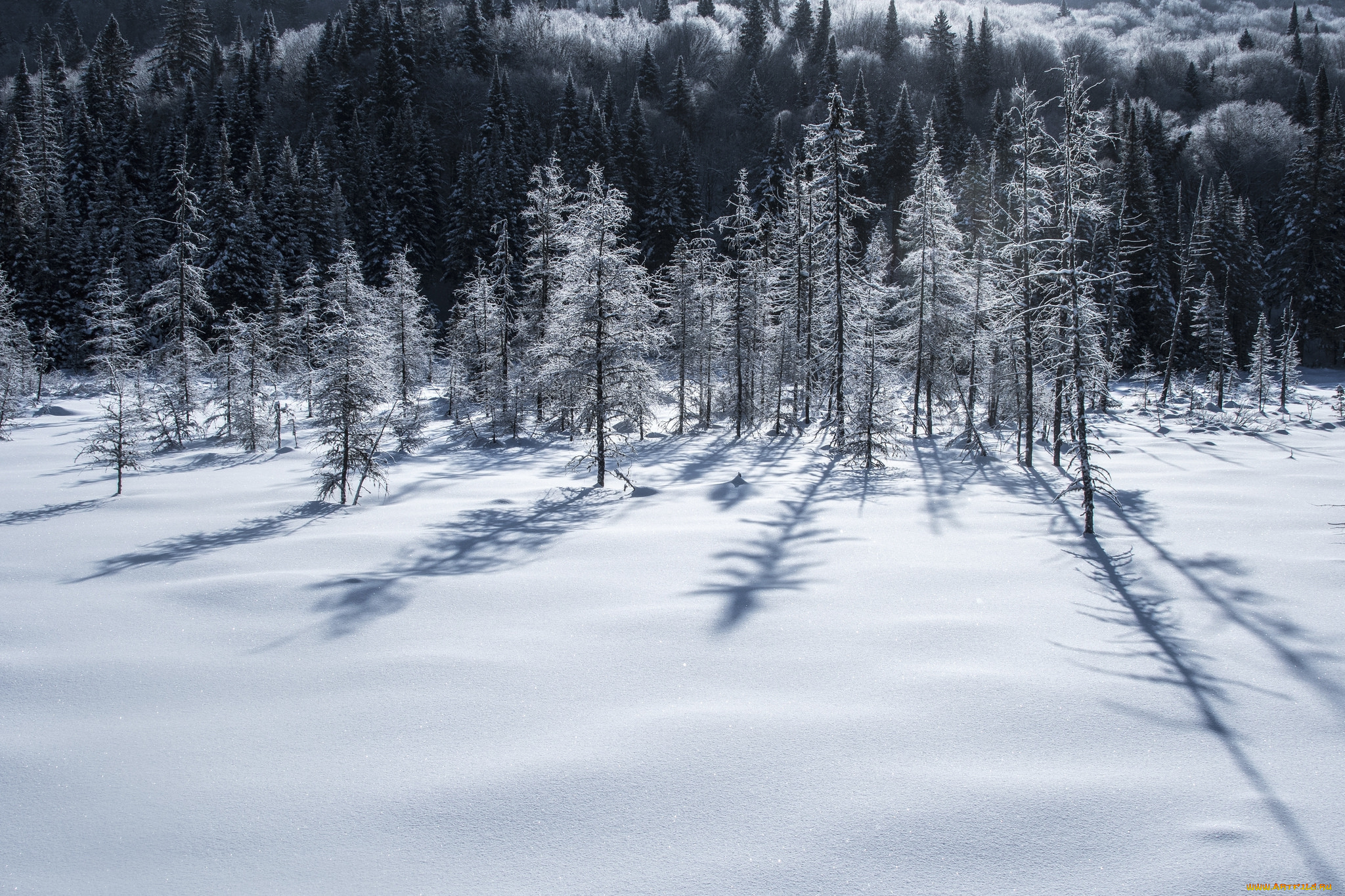 природа, зима, простор