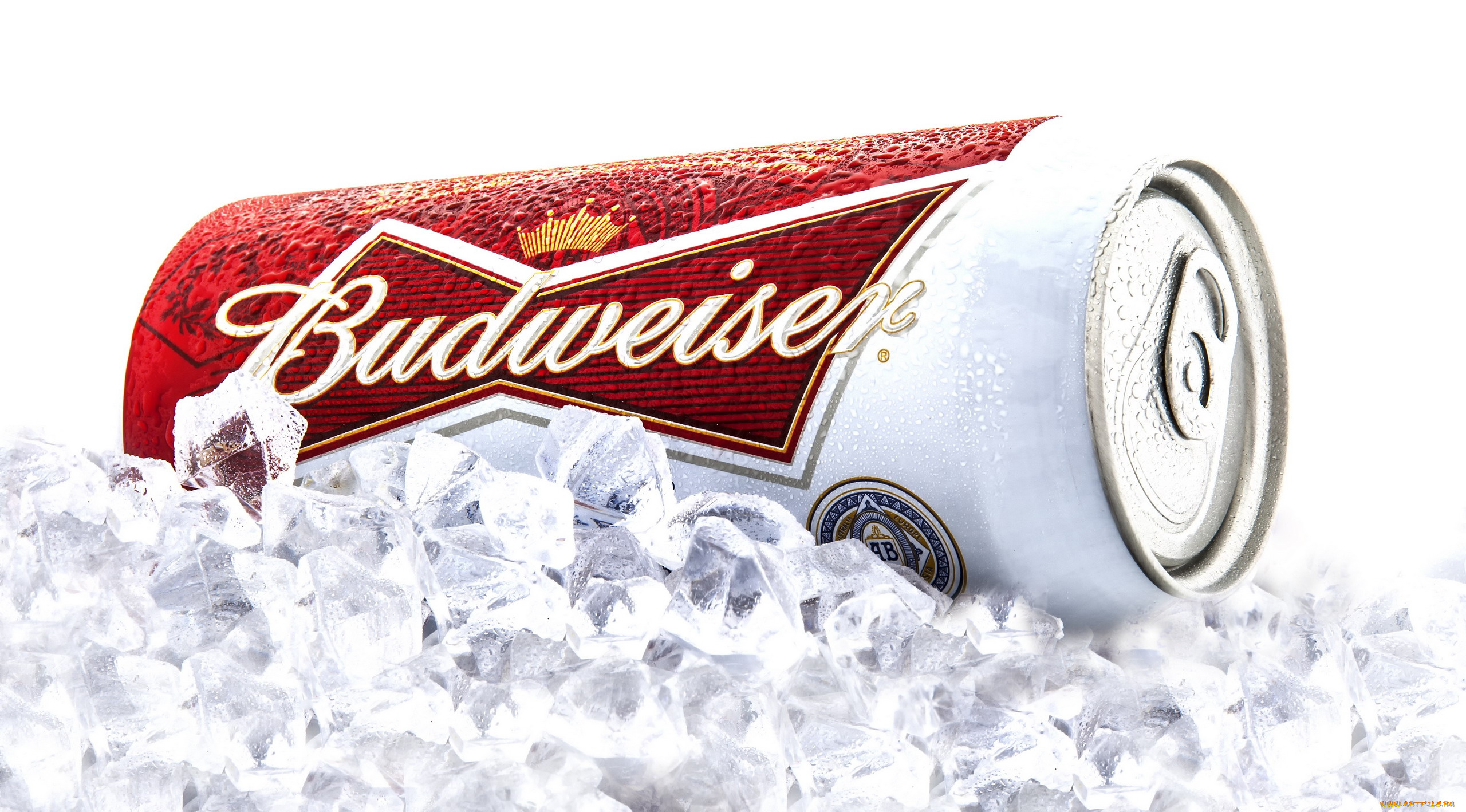 бренды, budweiser, пиво