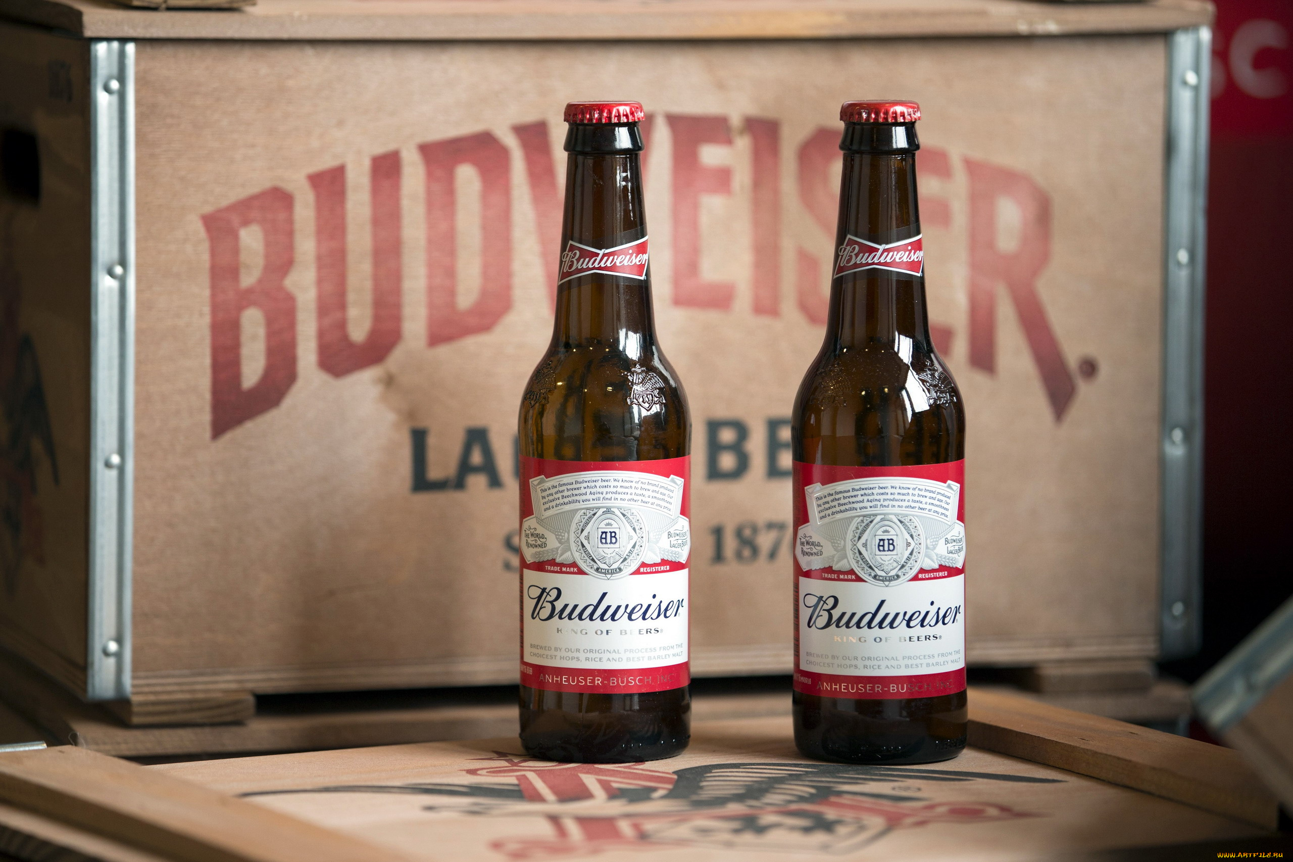 бренды, budweiser, пиво