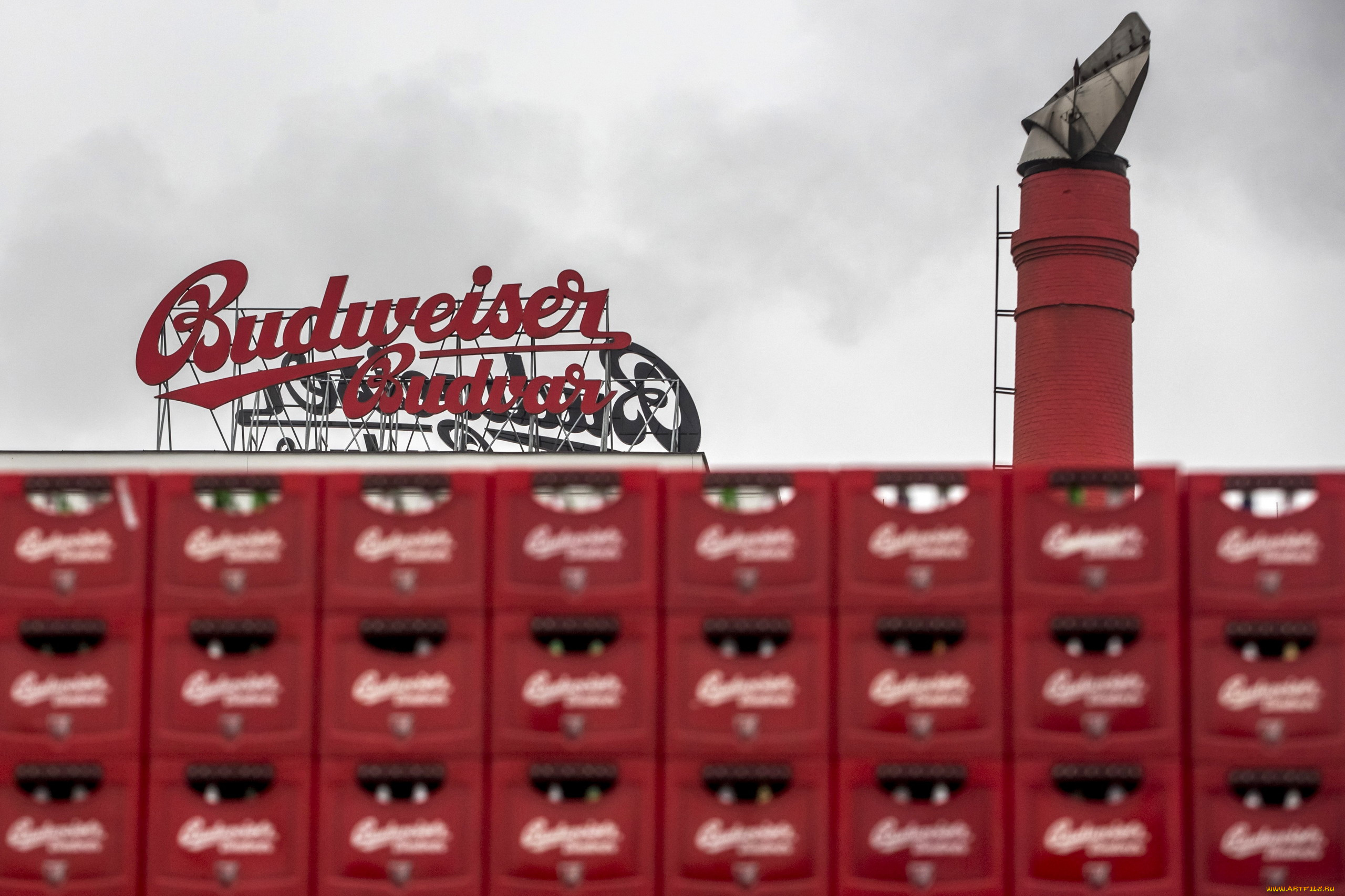 бренды, budweiser, пиво