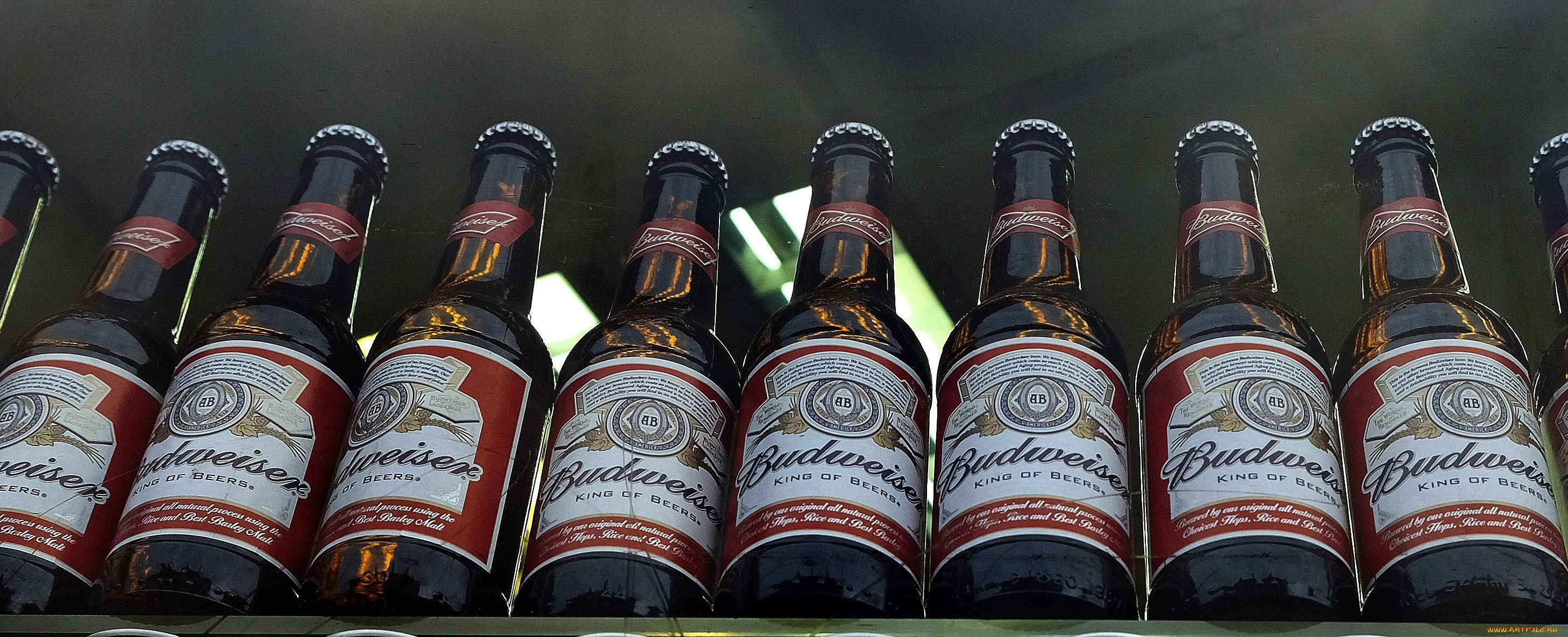 бренды, budweiser, пиво