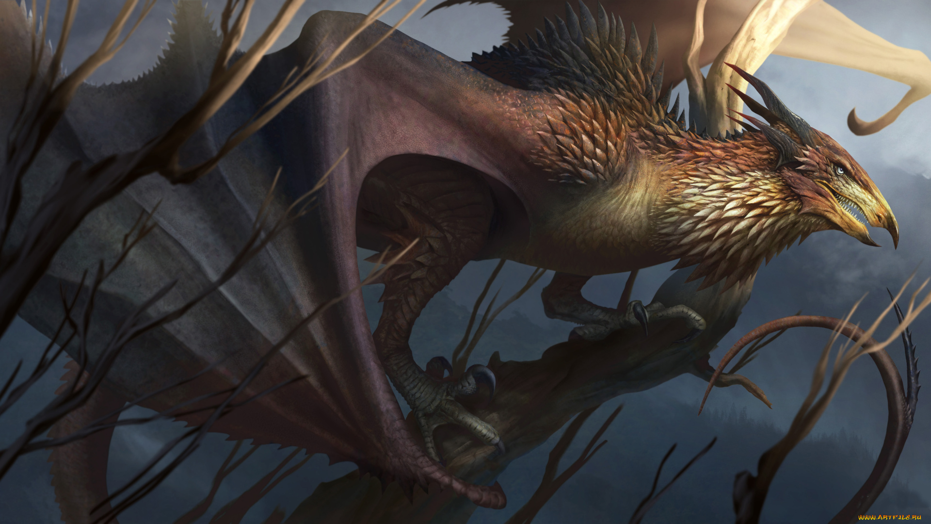 фэнтези, существа, существо, фон, птица