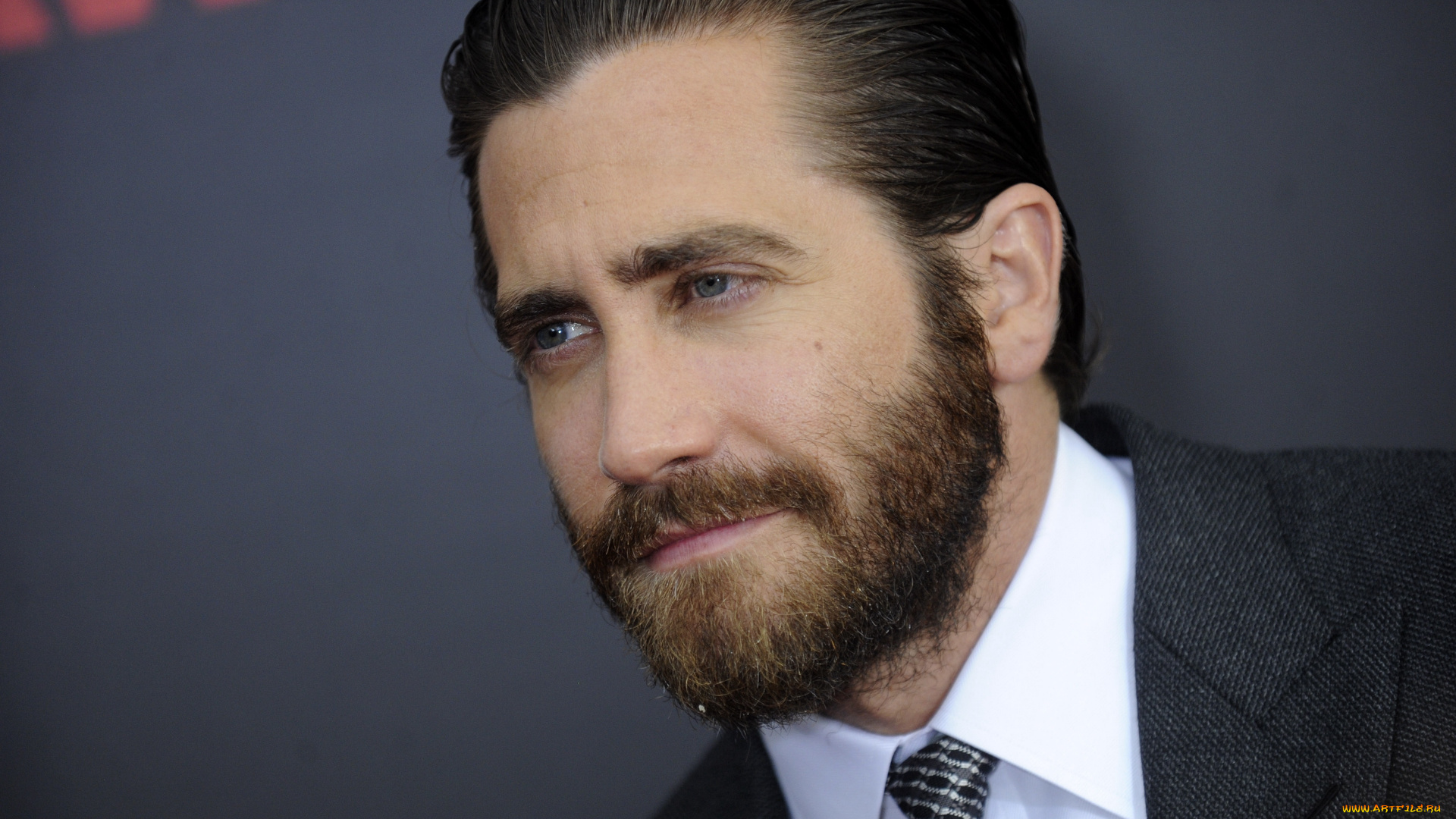 мужчины, jake, gyllenhaal, костюм, борода, лицо, актер