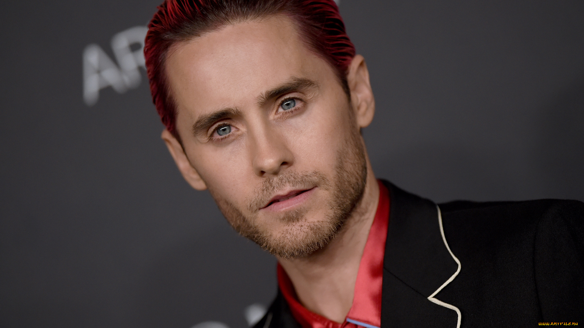 мужчины, jared, leto, лицо, щетина, певец, актер