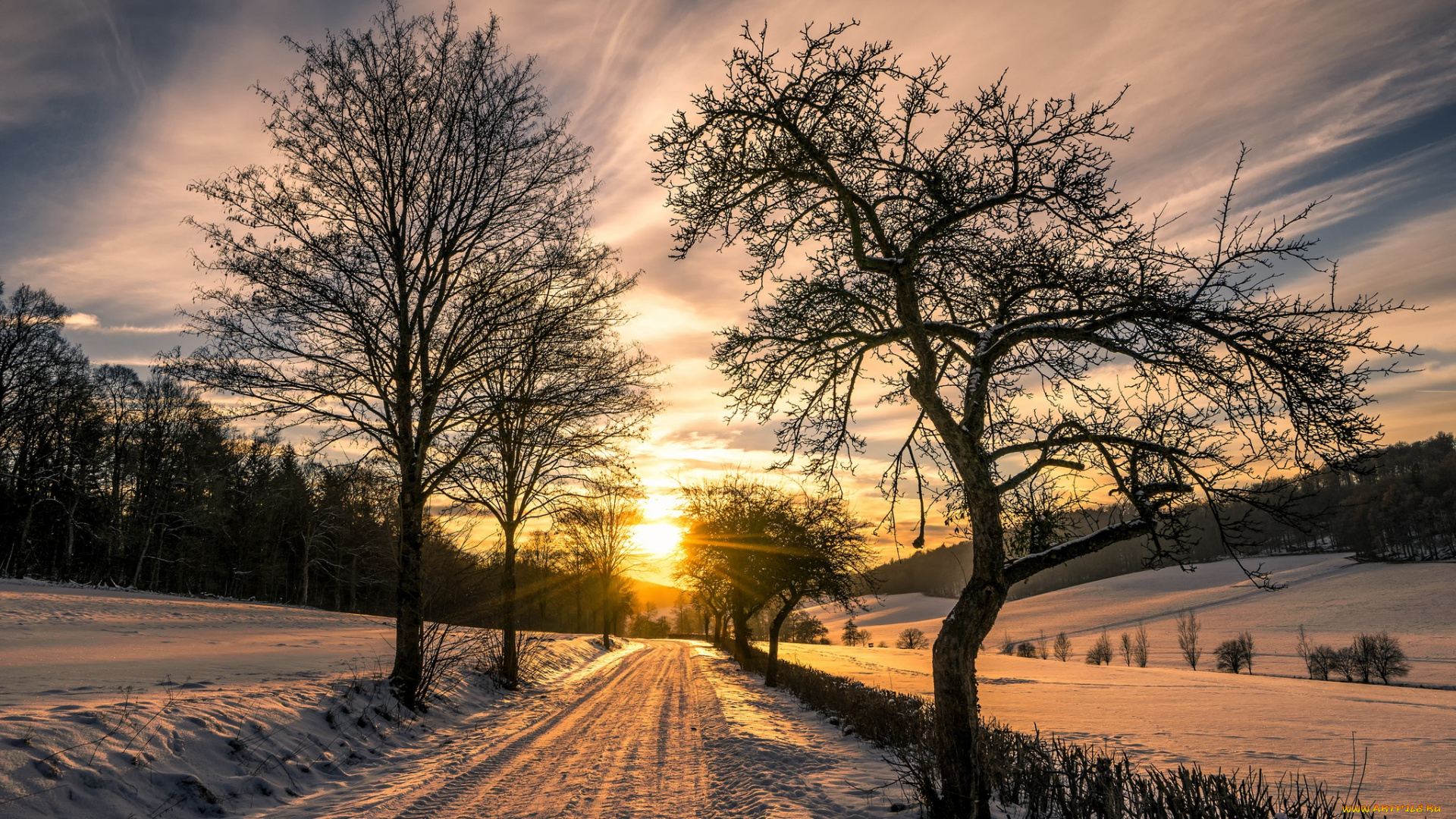 природа, дороги, утро, дорога, зима