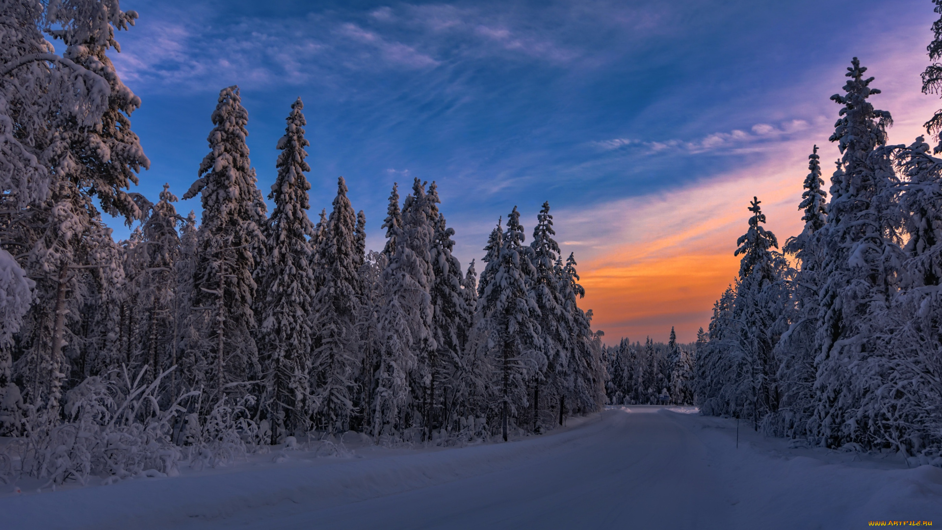 природа, дороги, зима, лес, закат