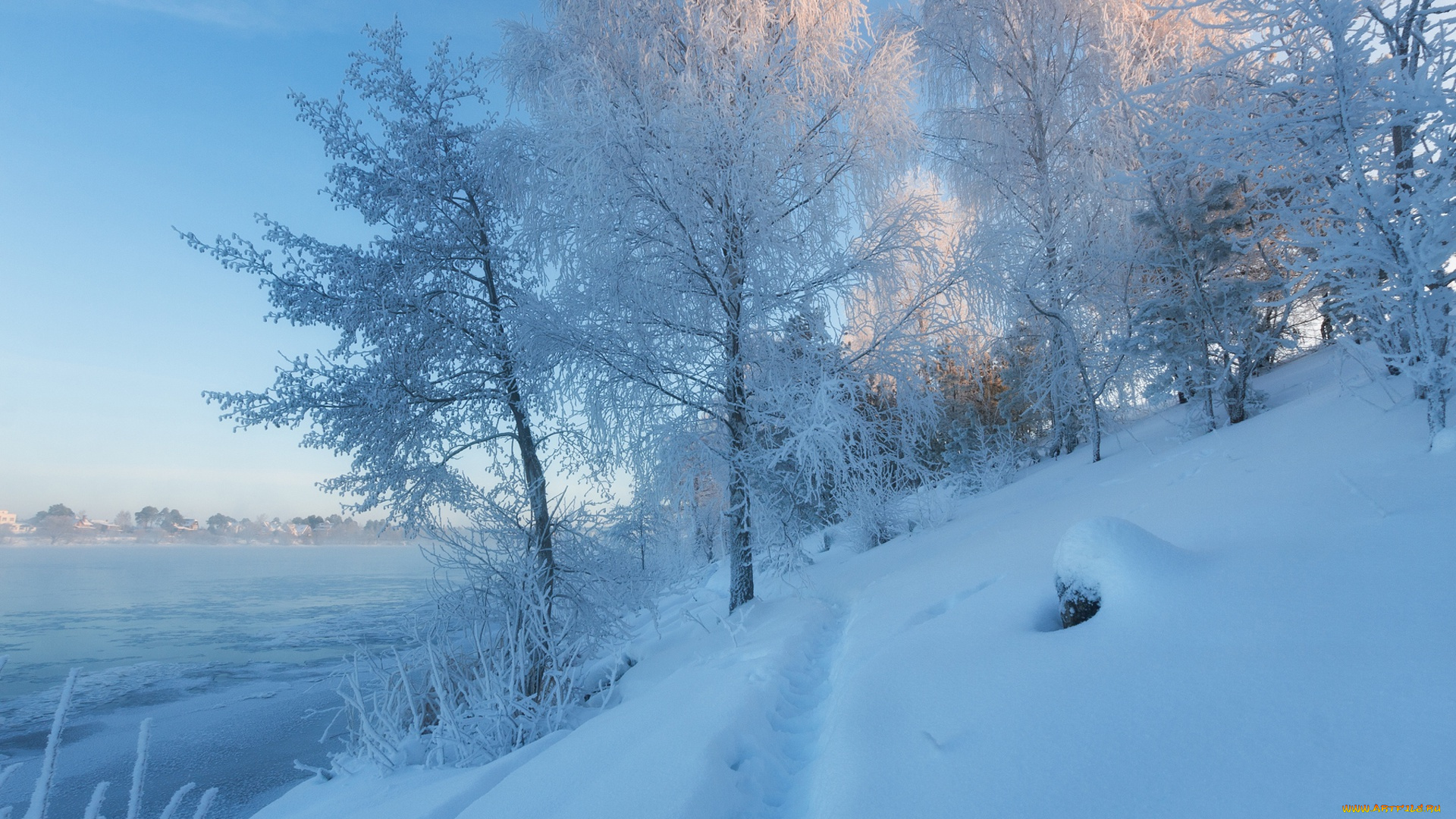 природа, зима, московская, область, дубна, тропинка, река, волга, россия, снег, сугробы, деревья