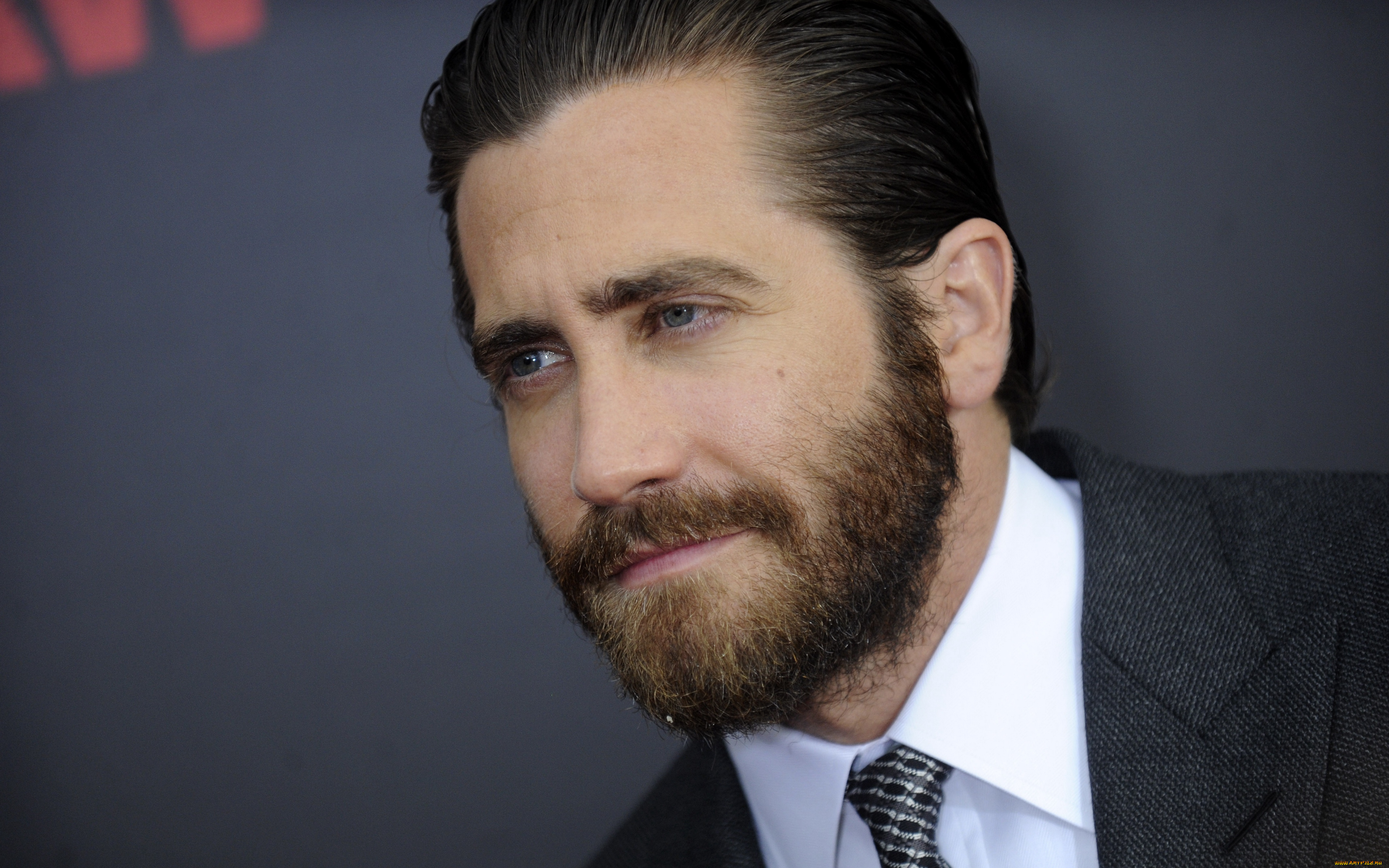 мужчины, jake, gyllenhaal, костюм, борода, лицо, актер