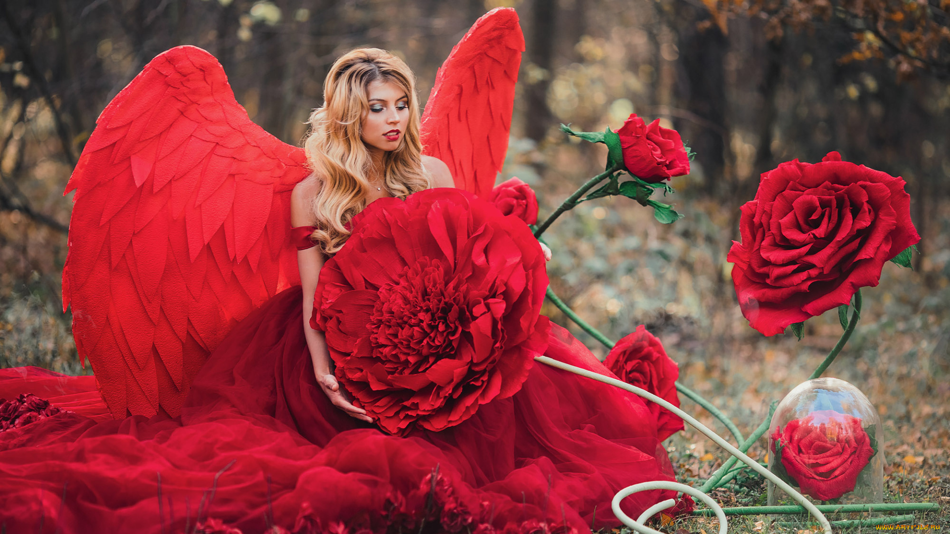 девушки, -, блондинки, , светловолосые, блондинка, крылья, платье, цветы, парк, осень