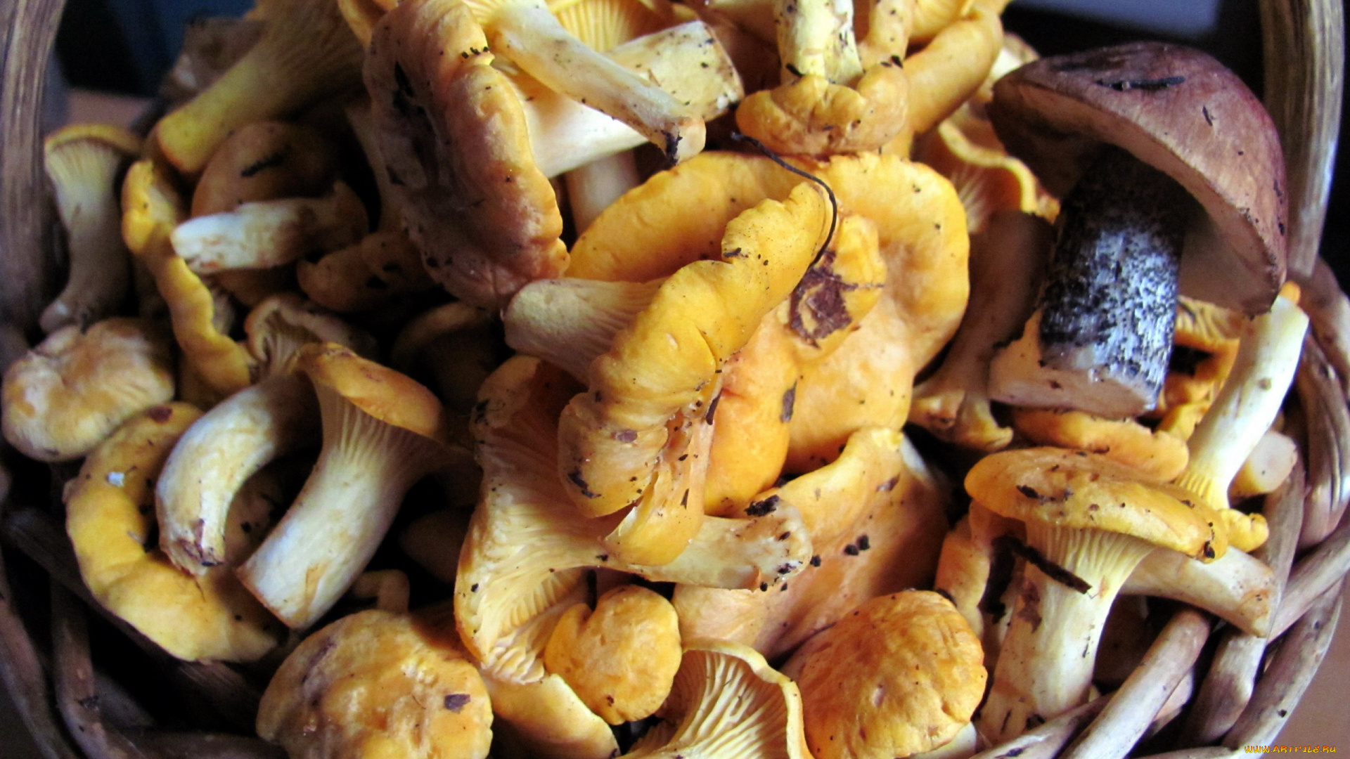 еда, грибы, , грибные, блюда, лисички