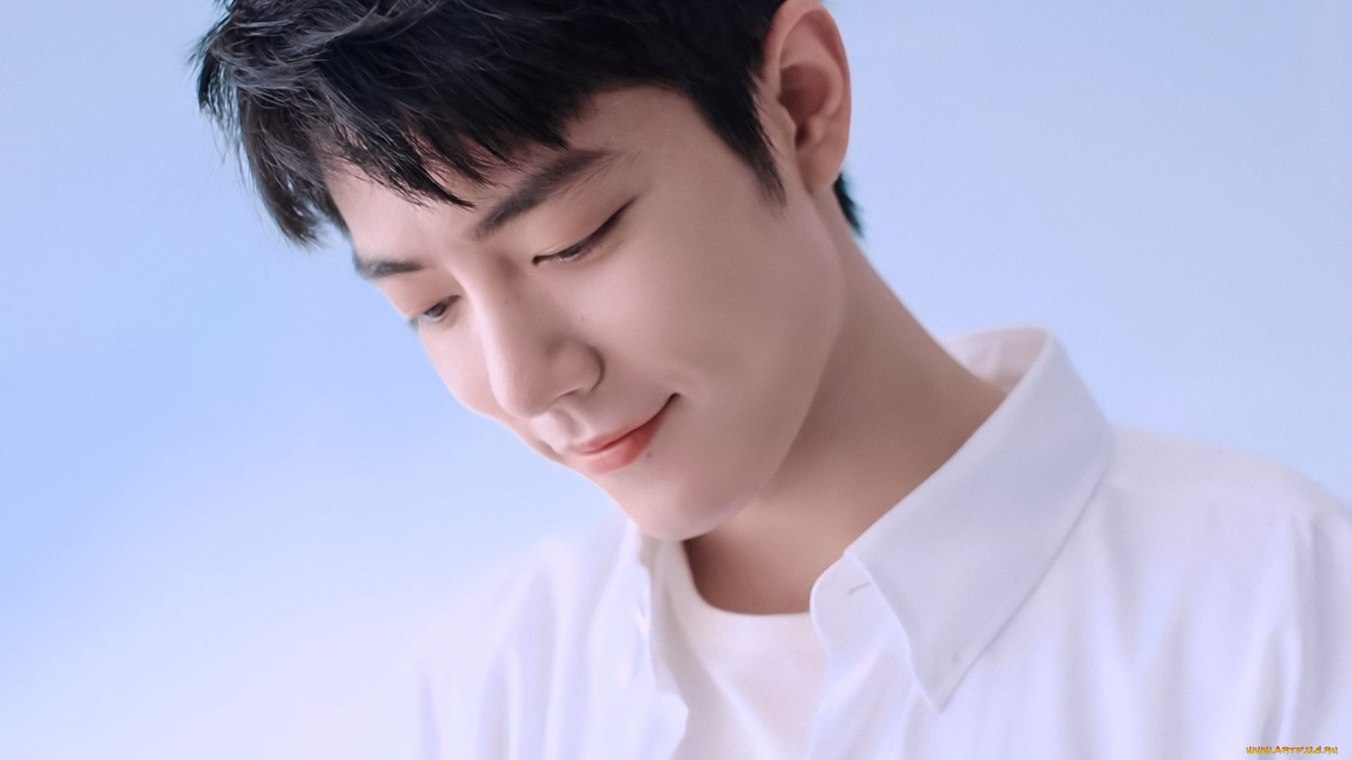 мужчины, xiao, zhan, актер, лицо, рубашка