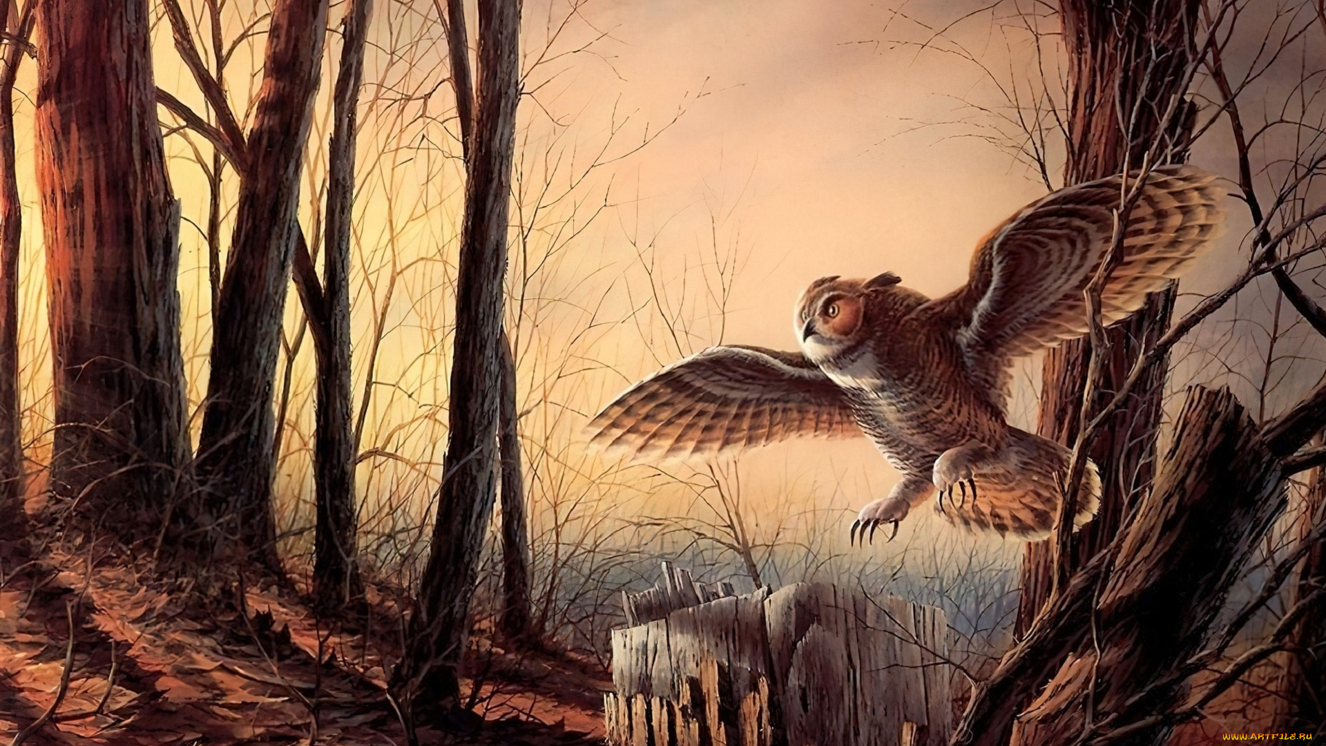 рисованное, животные, , птицы, , совы, , филины, сова, лес, пень