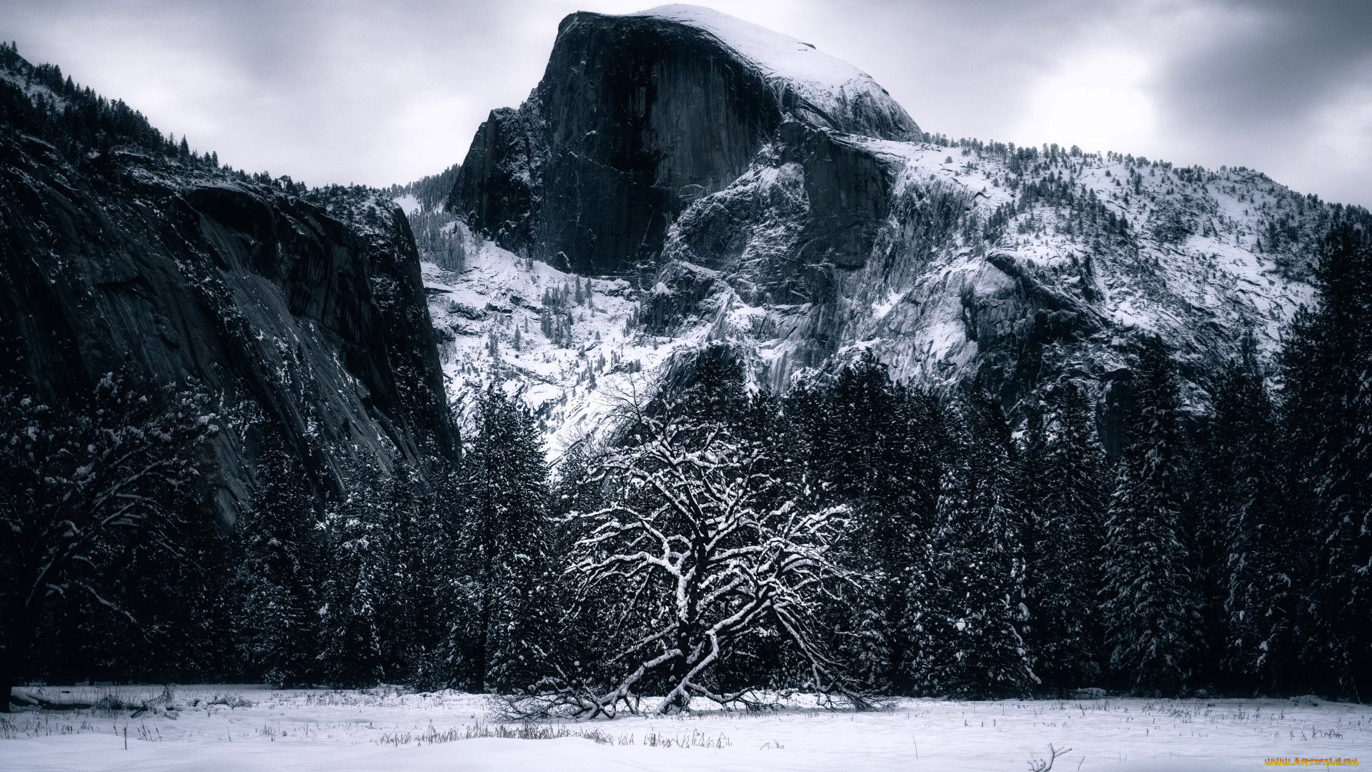 природа, горы, снег, деревья, зима