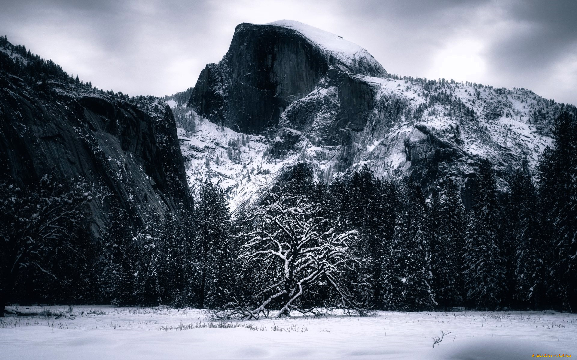 природа, горы, снег, деревья, зима