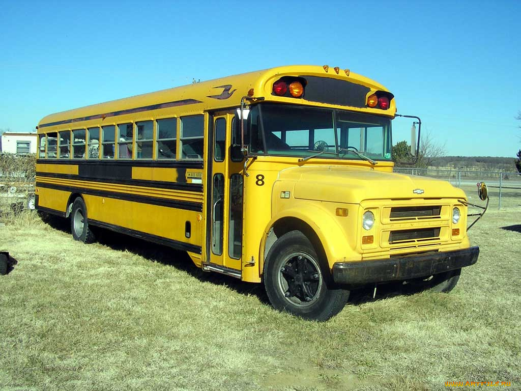 chevy, c60, 1970, автомобили, автобусы