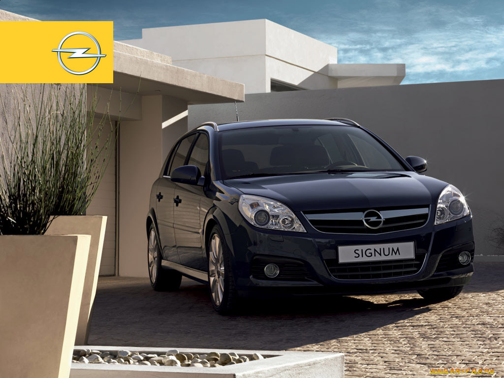 opel, signum, 2005, автомобили