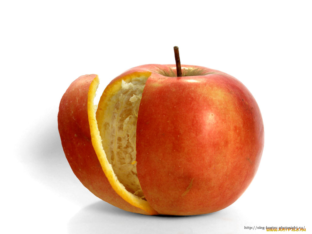 юмор, приколы