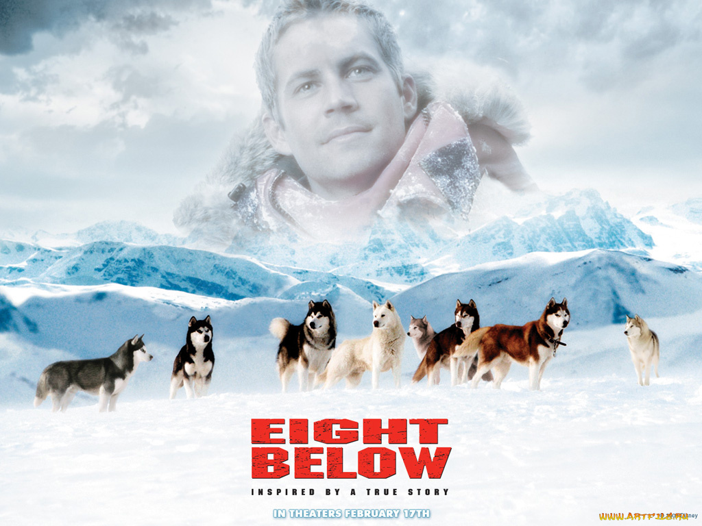 кино, фильмы, eight, below