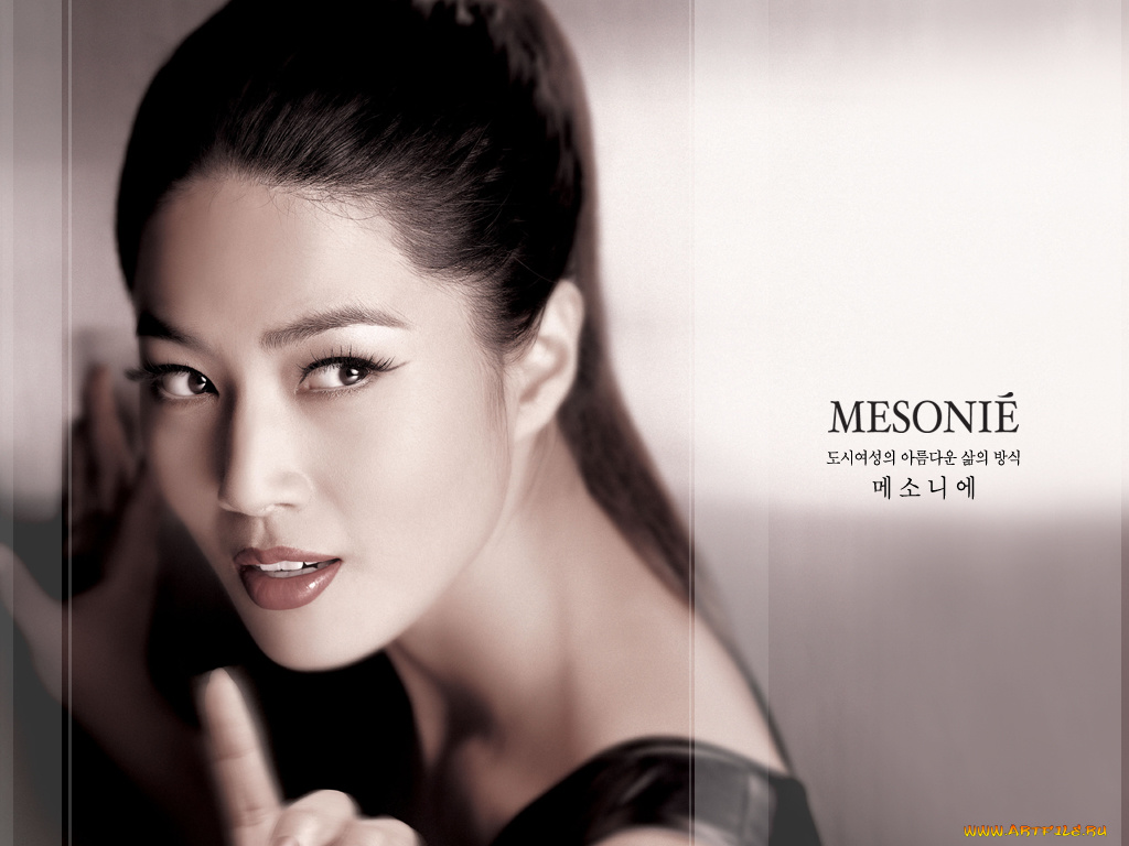 бренды, mesonie