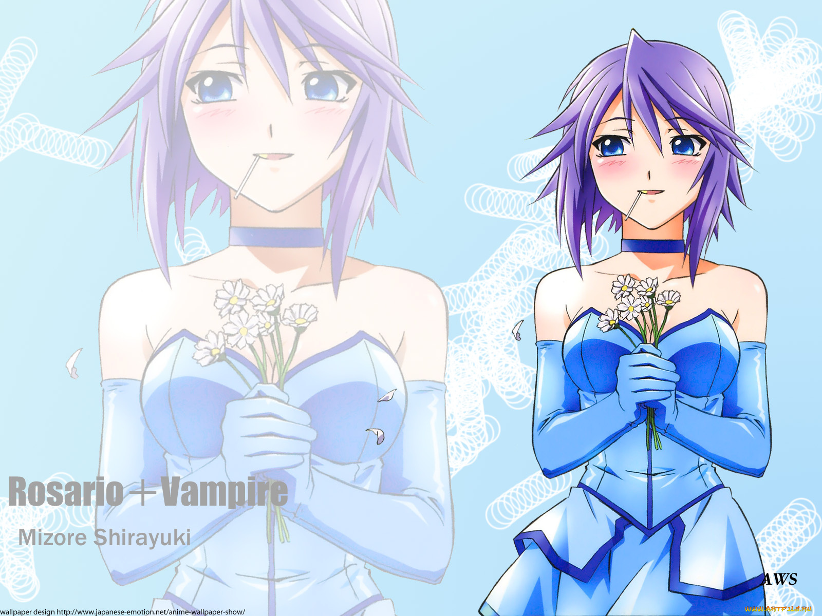 аниме, rosario, vampire