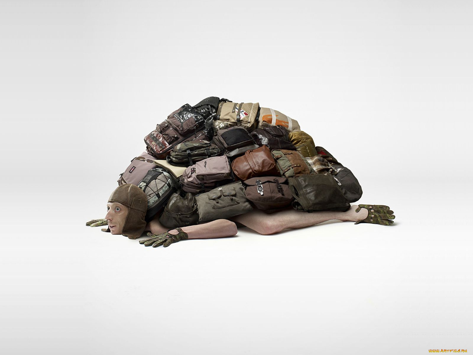 юмор, приколы