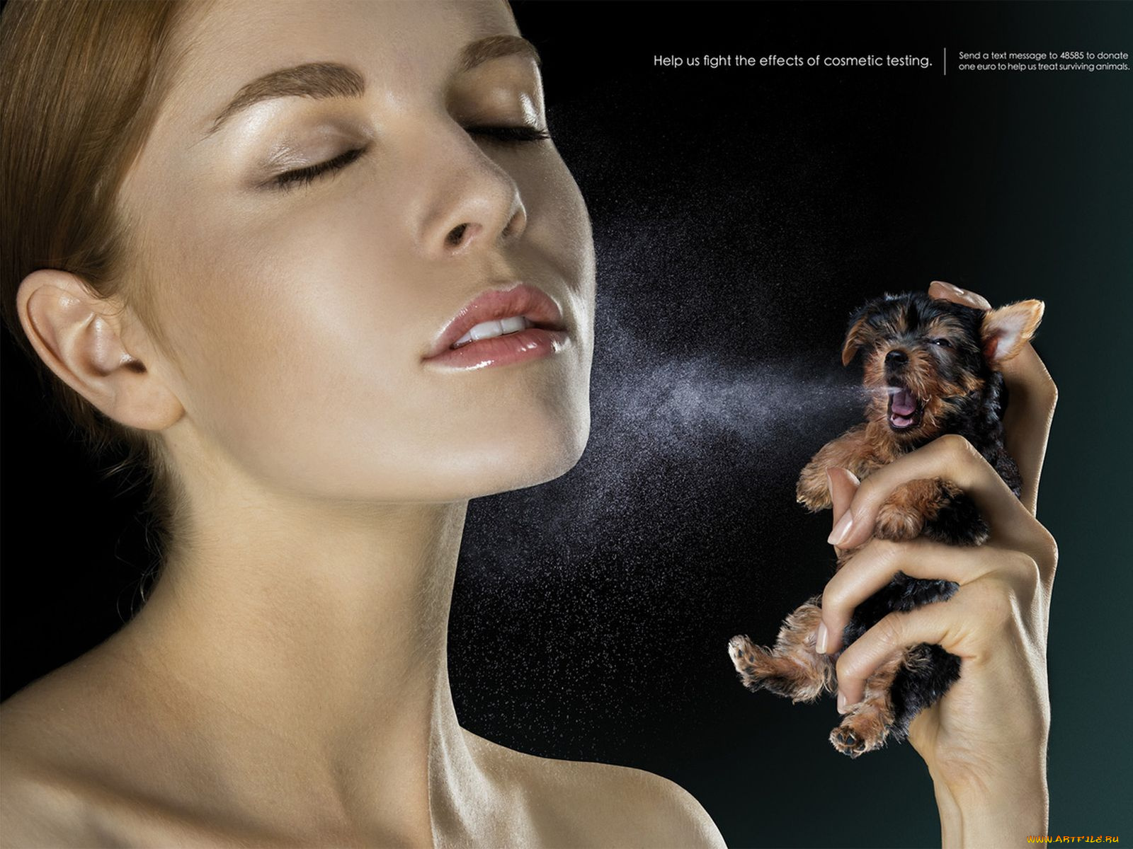 юмор, приколы