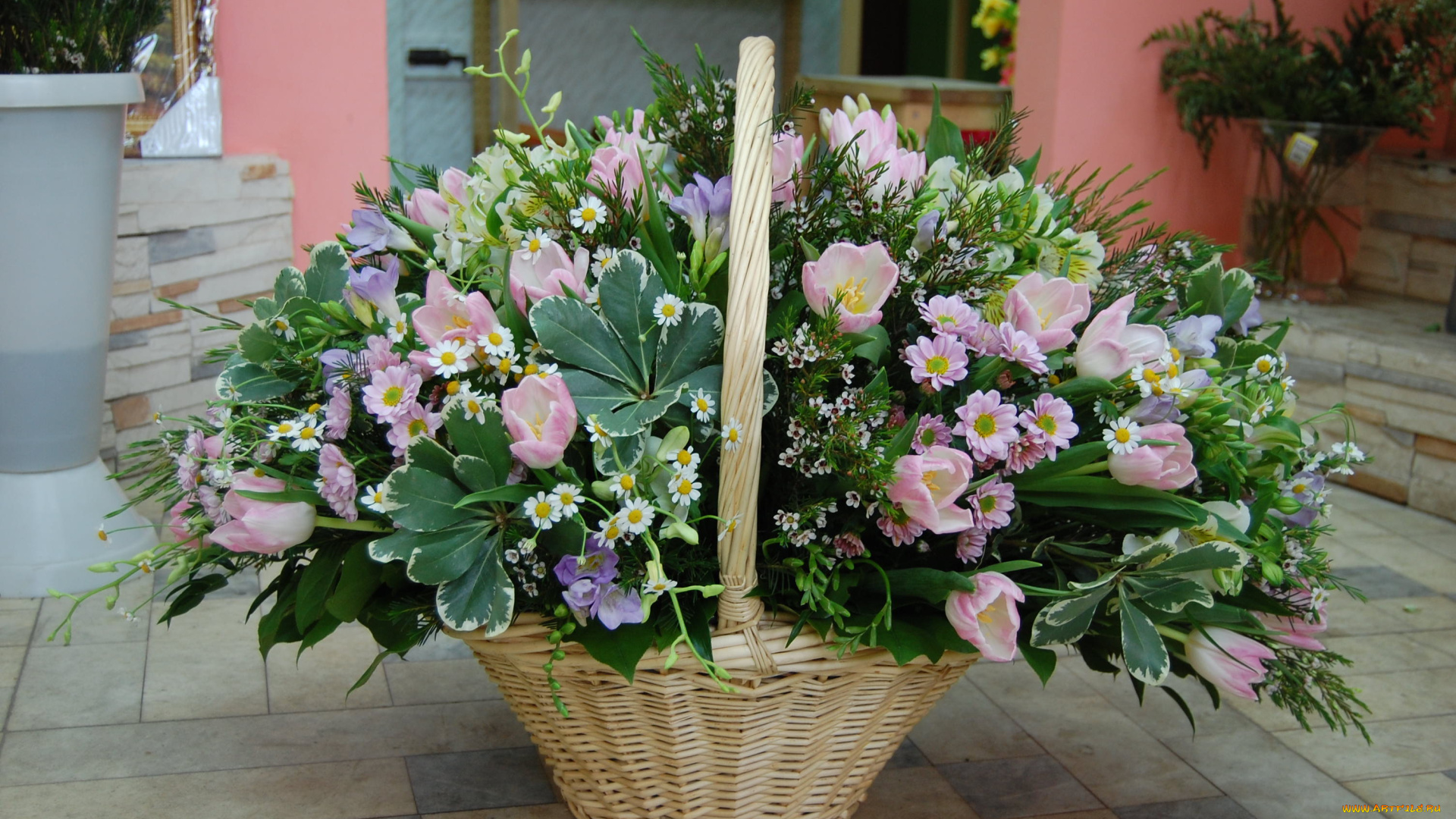 цветы, букеты, композиции, хризантемы, корзина, ромашки, тюльпаны