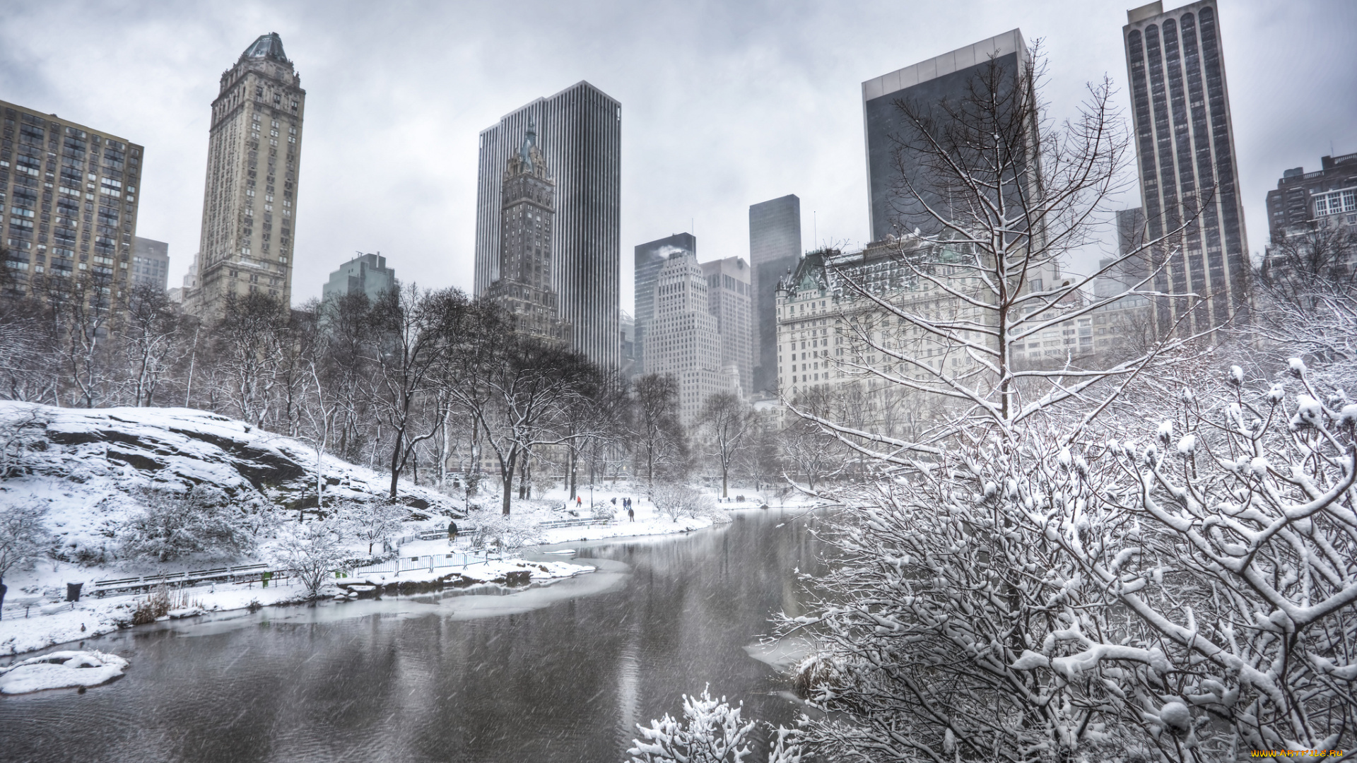 central, park, new, york, city, города, нью, йорк, сша, небоскрёбы, деревья, manhattan, зима, водоём, манхэттен, центральный, парк