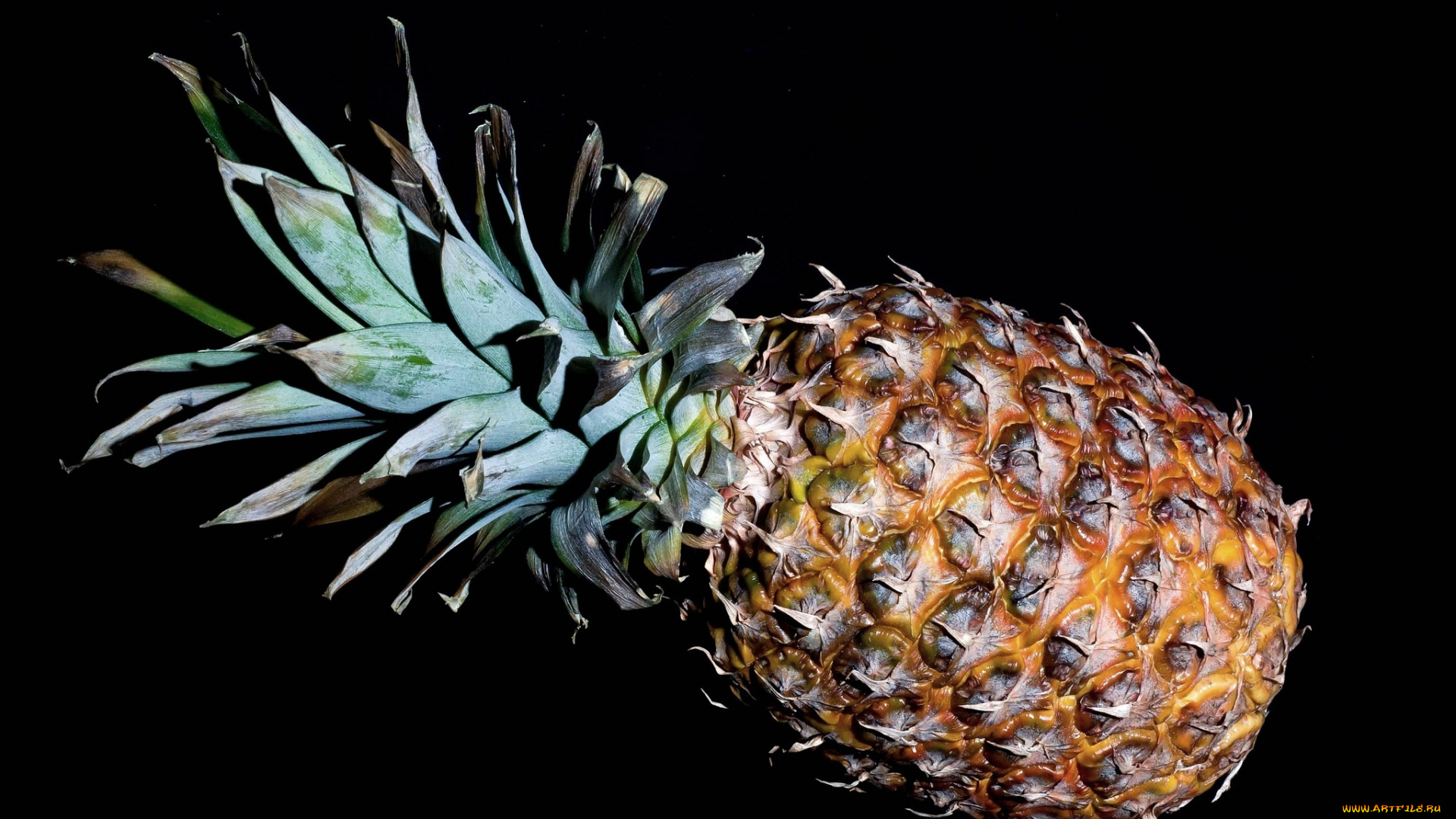 еда, ананас, большой