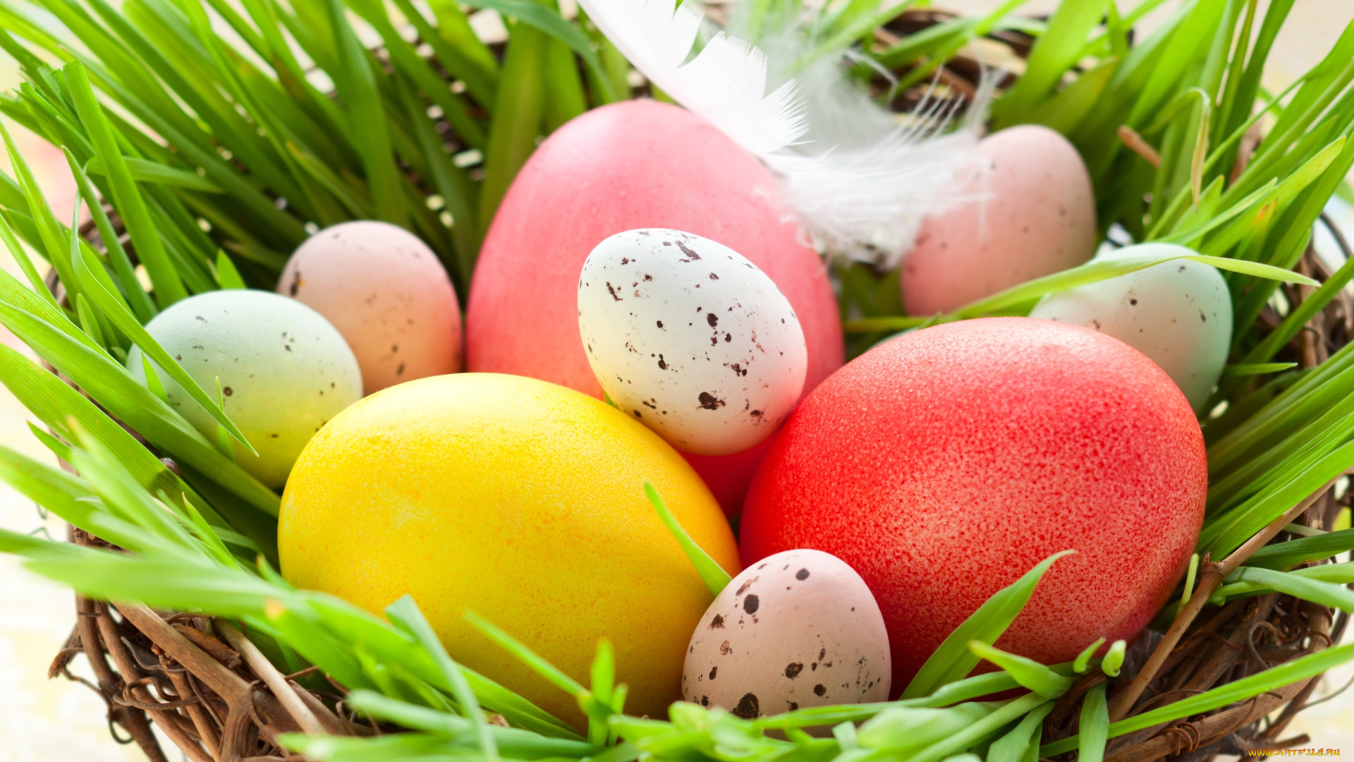 праздничные, пасха, яйца