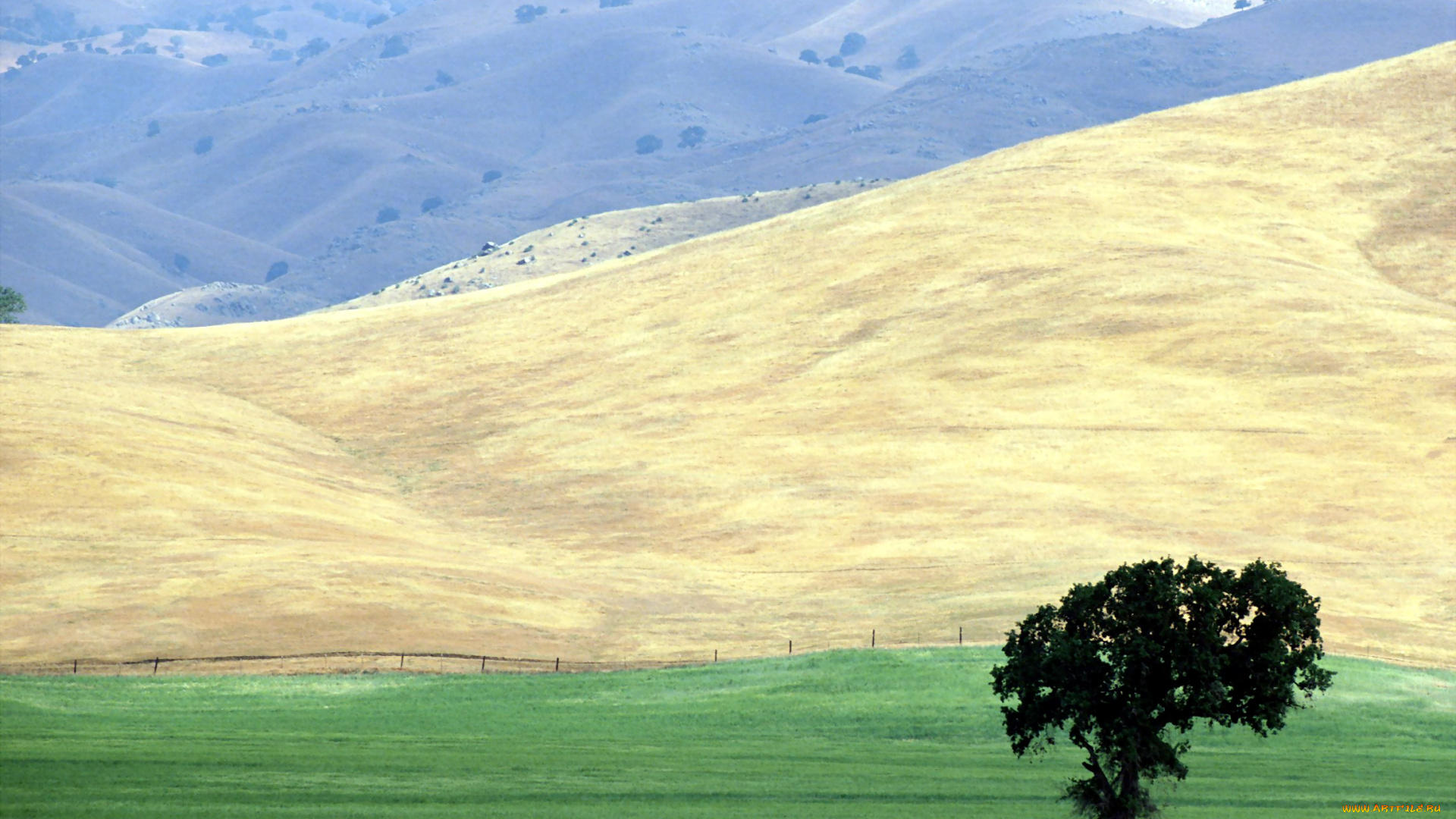 природа, горы, изгородь, дерево, поля