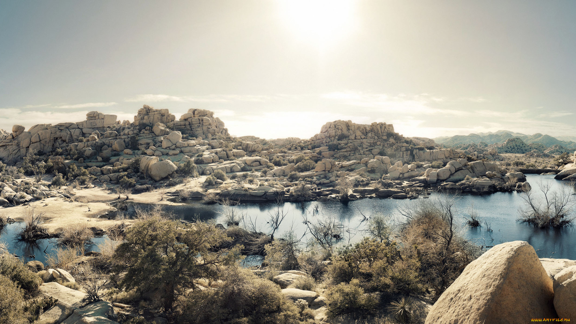 природа, реки, озера, камни, вода, растения