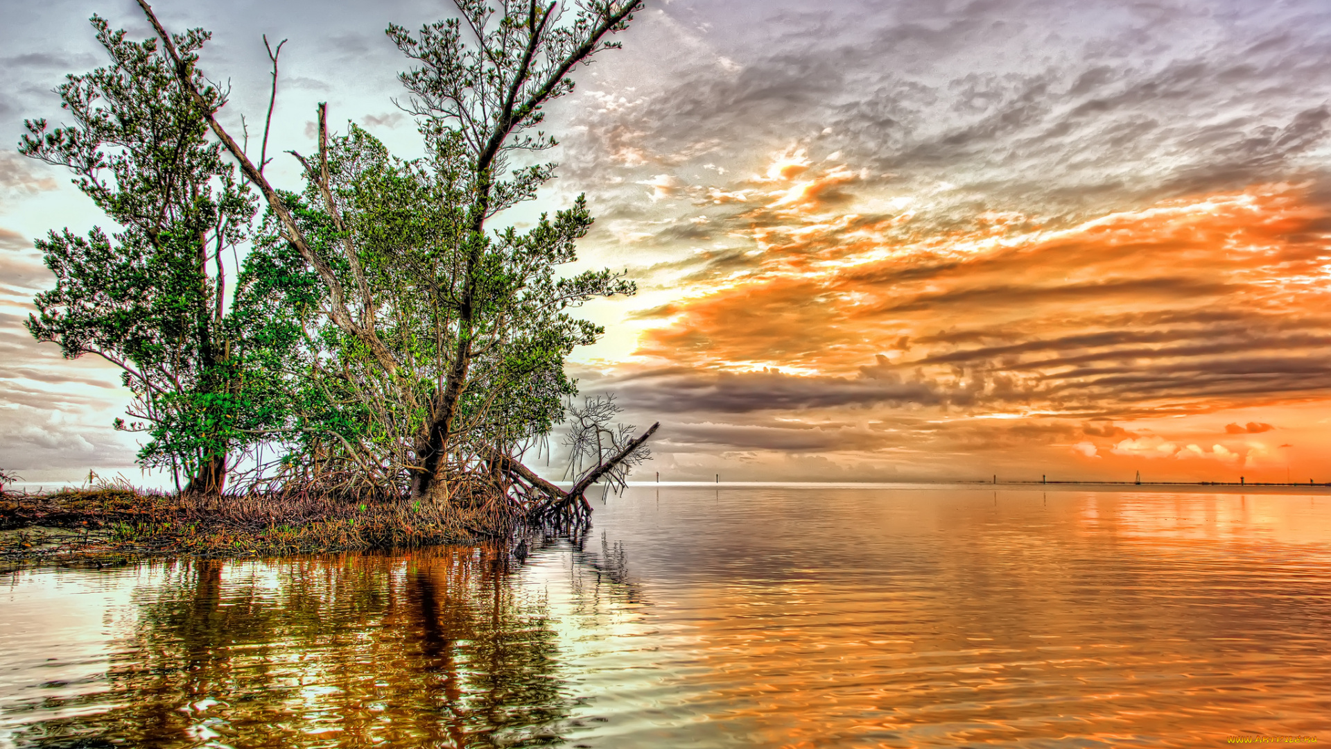 природа, реки, озера, озеро, островок, дерево, тучи