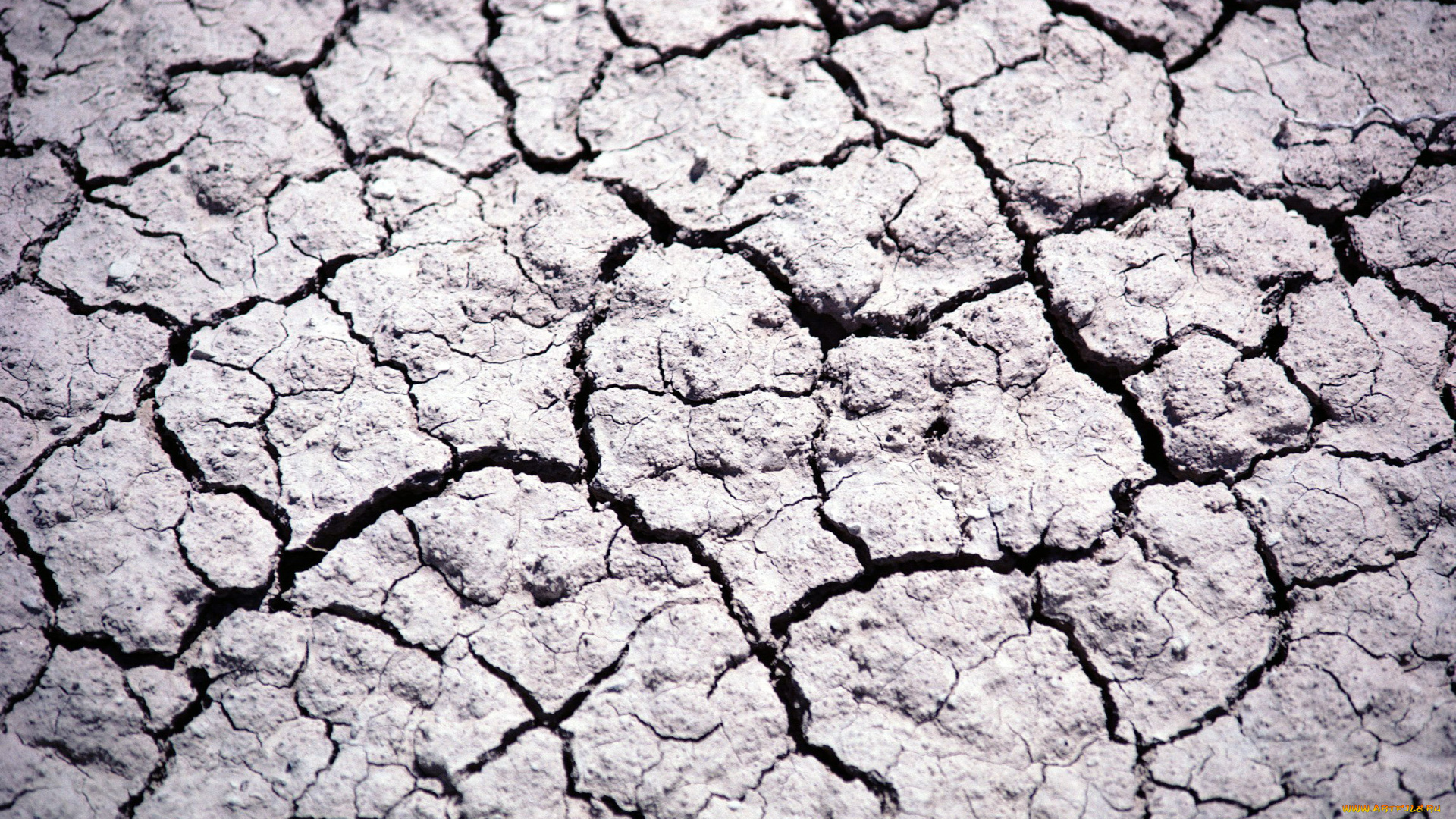 разное, текстуры, такыр, сухость, трещины, земля
