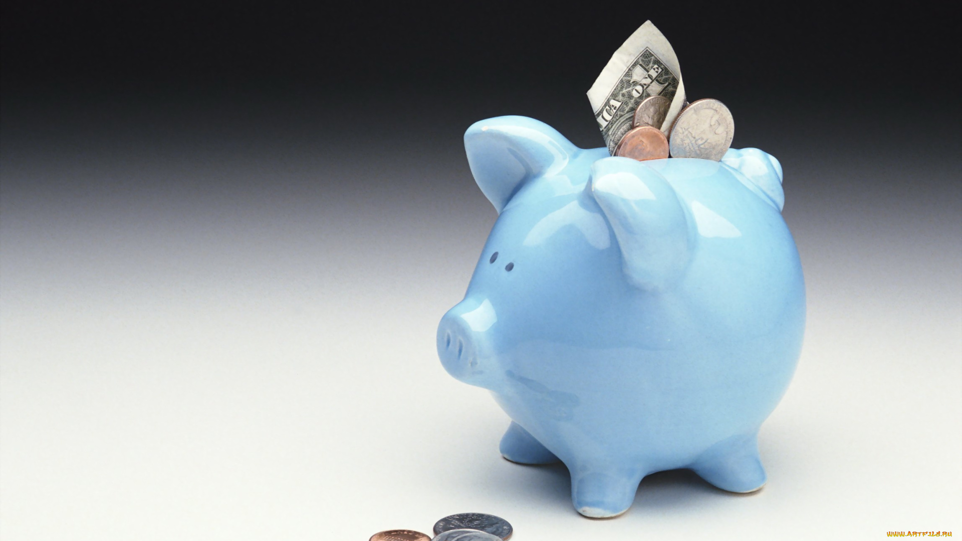разное, золото, купюры, монеты, свинья, деньги, копилка