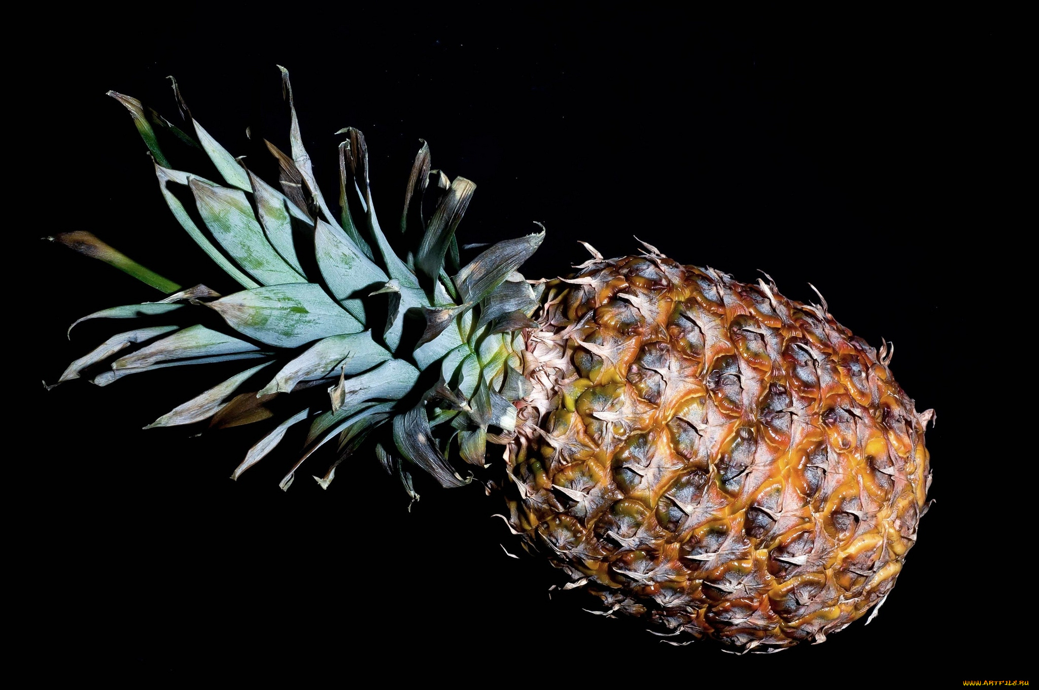 еда, ананас, большой