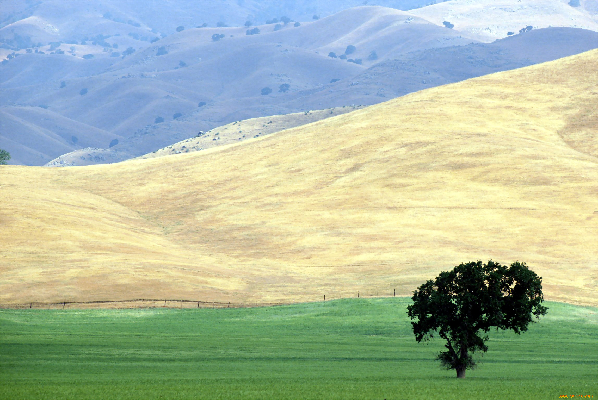 природа, горы, изгородь, дерево, поля