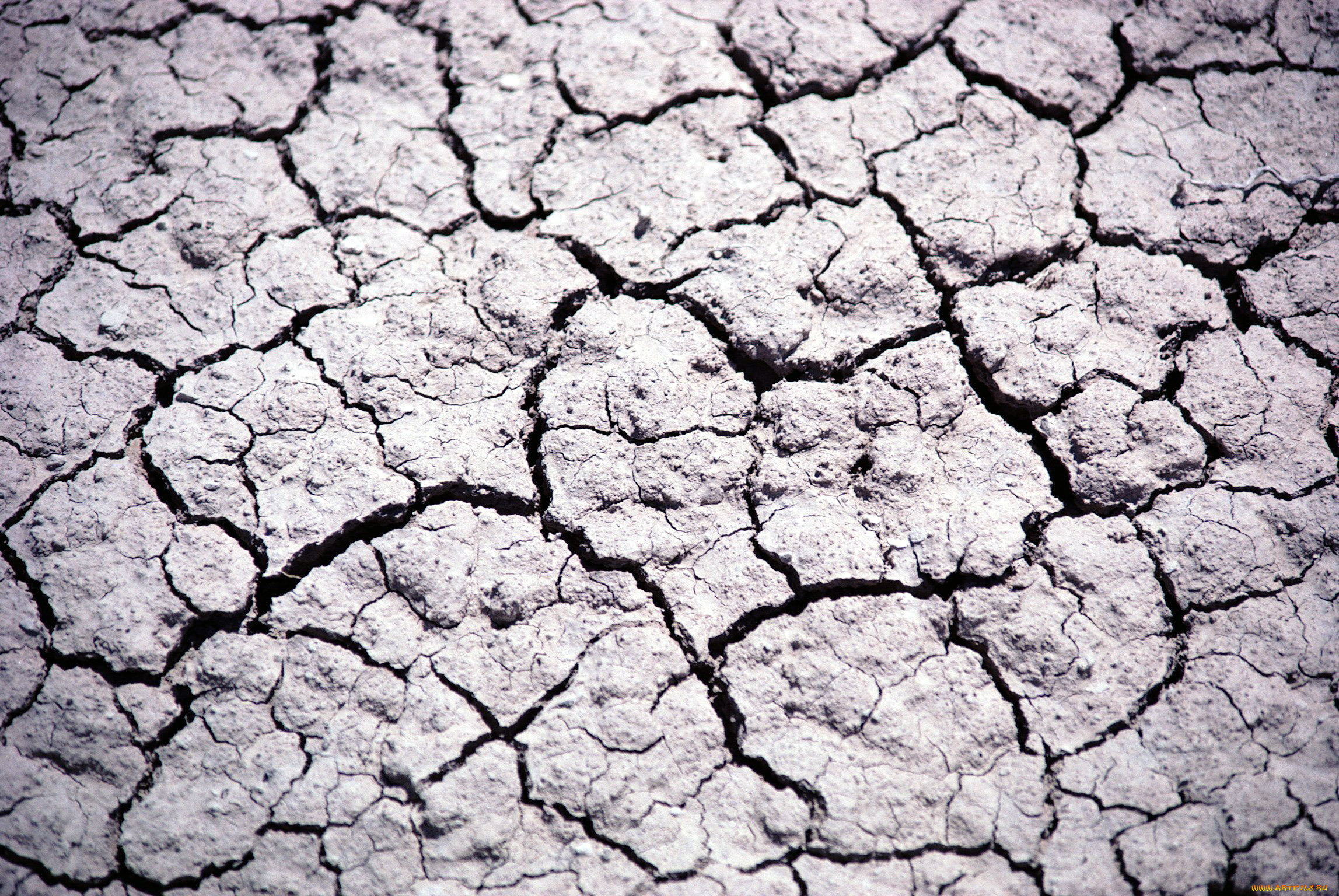 разное, текстуры, такыр, сухость, трещины, земля
