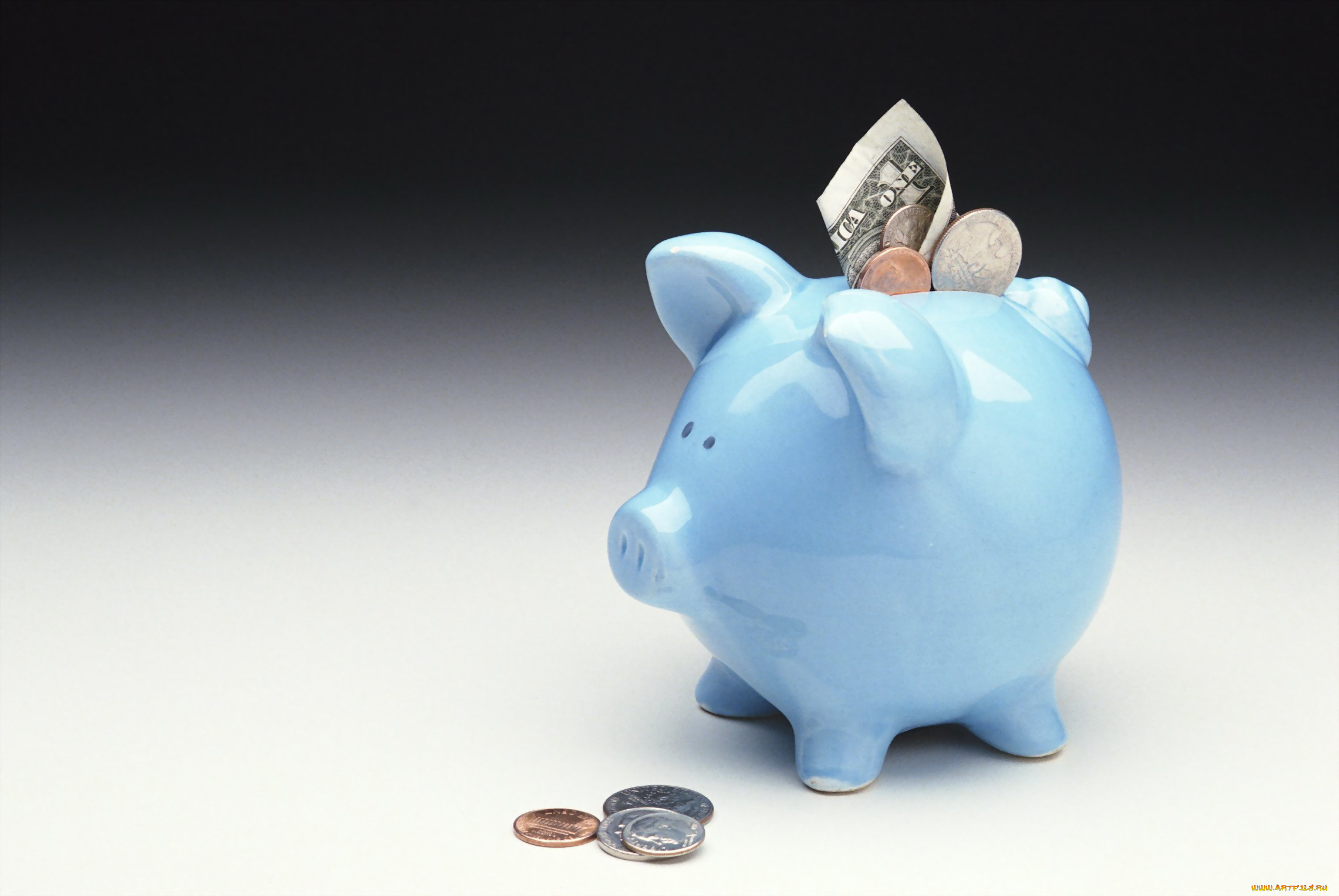 разное, золото, купюры, монеты, свинья, деньги, копилка