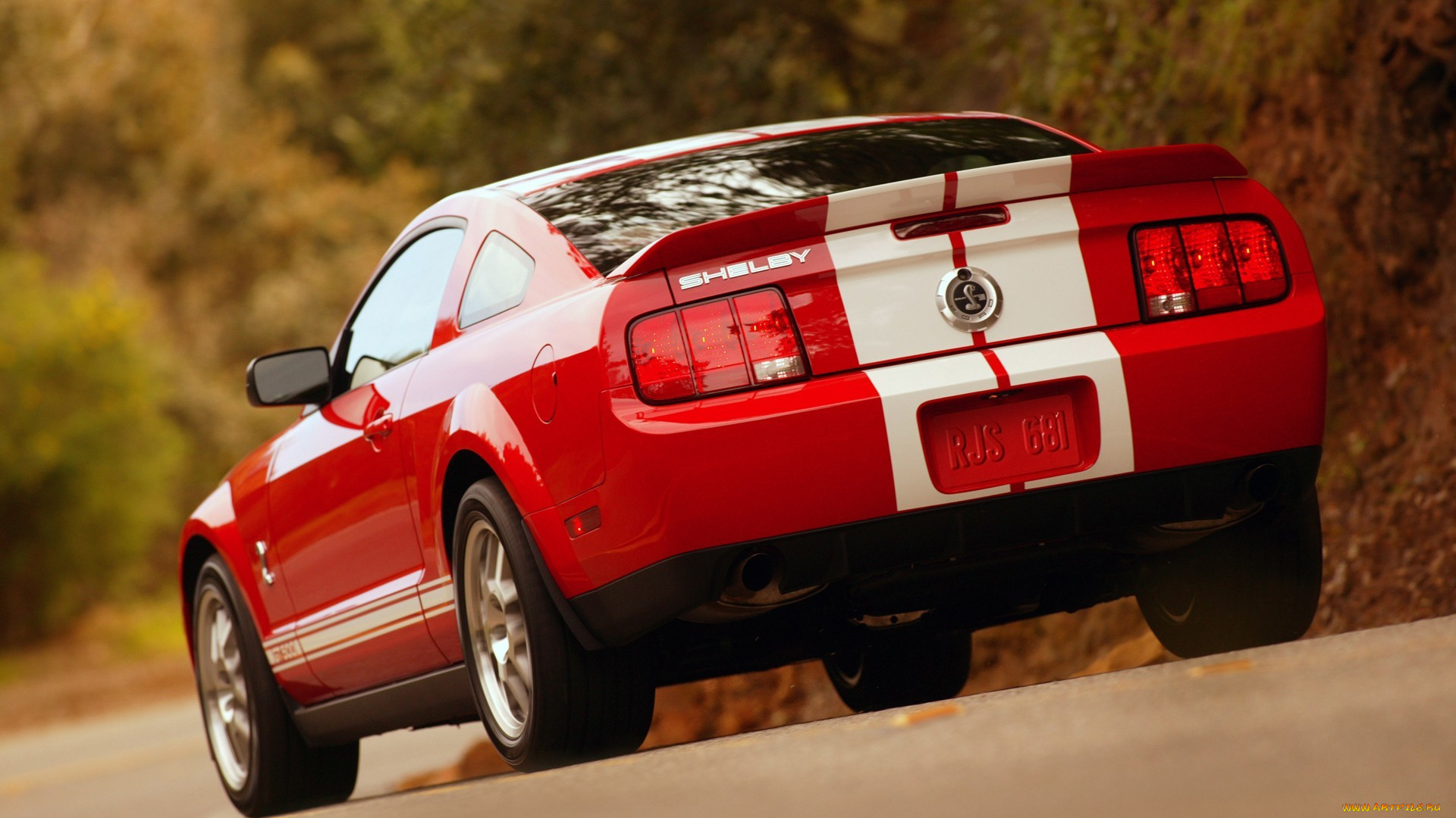 автомобили, mustang, gt500, cobra, shelby