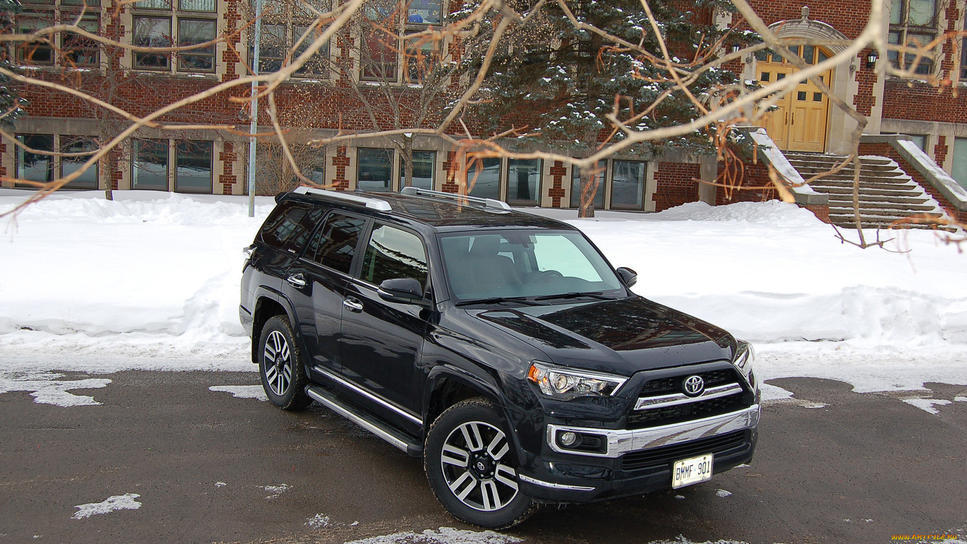 автомобили, toyota