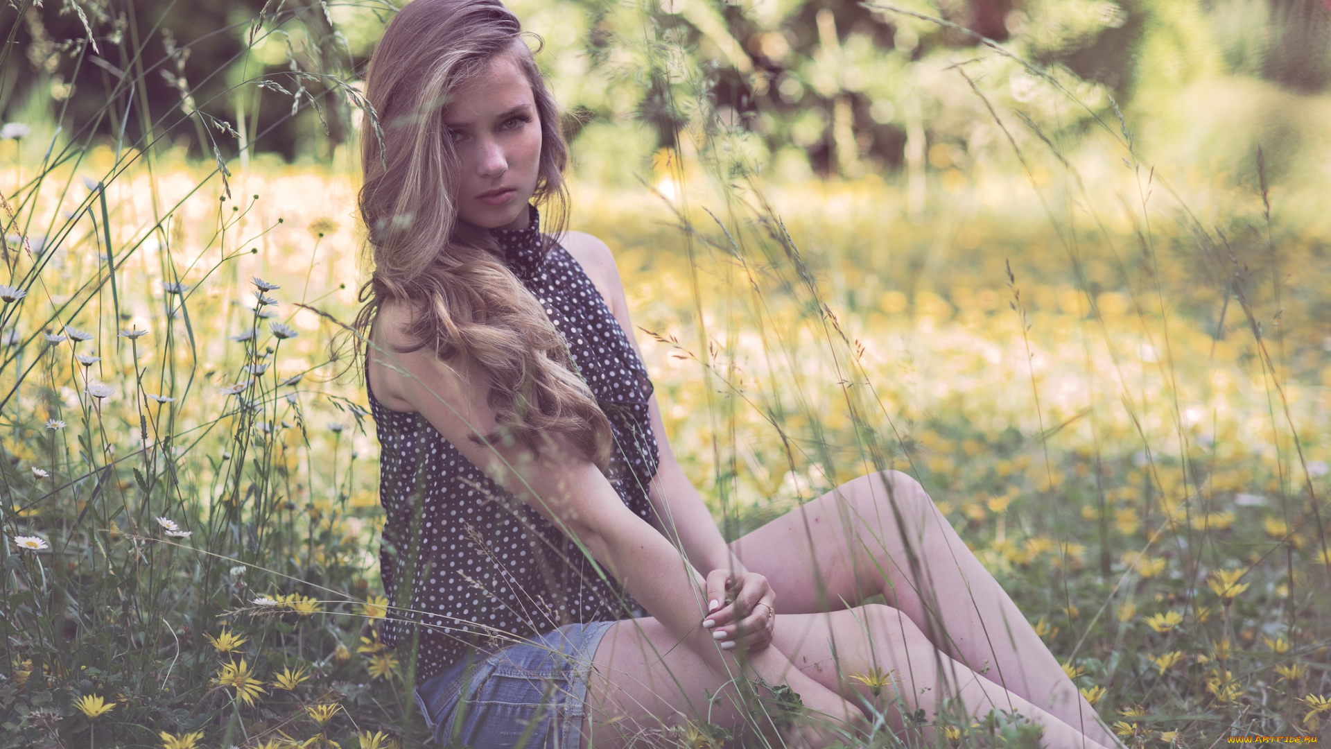 девушки, -unsort, , блондинки, волосы