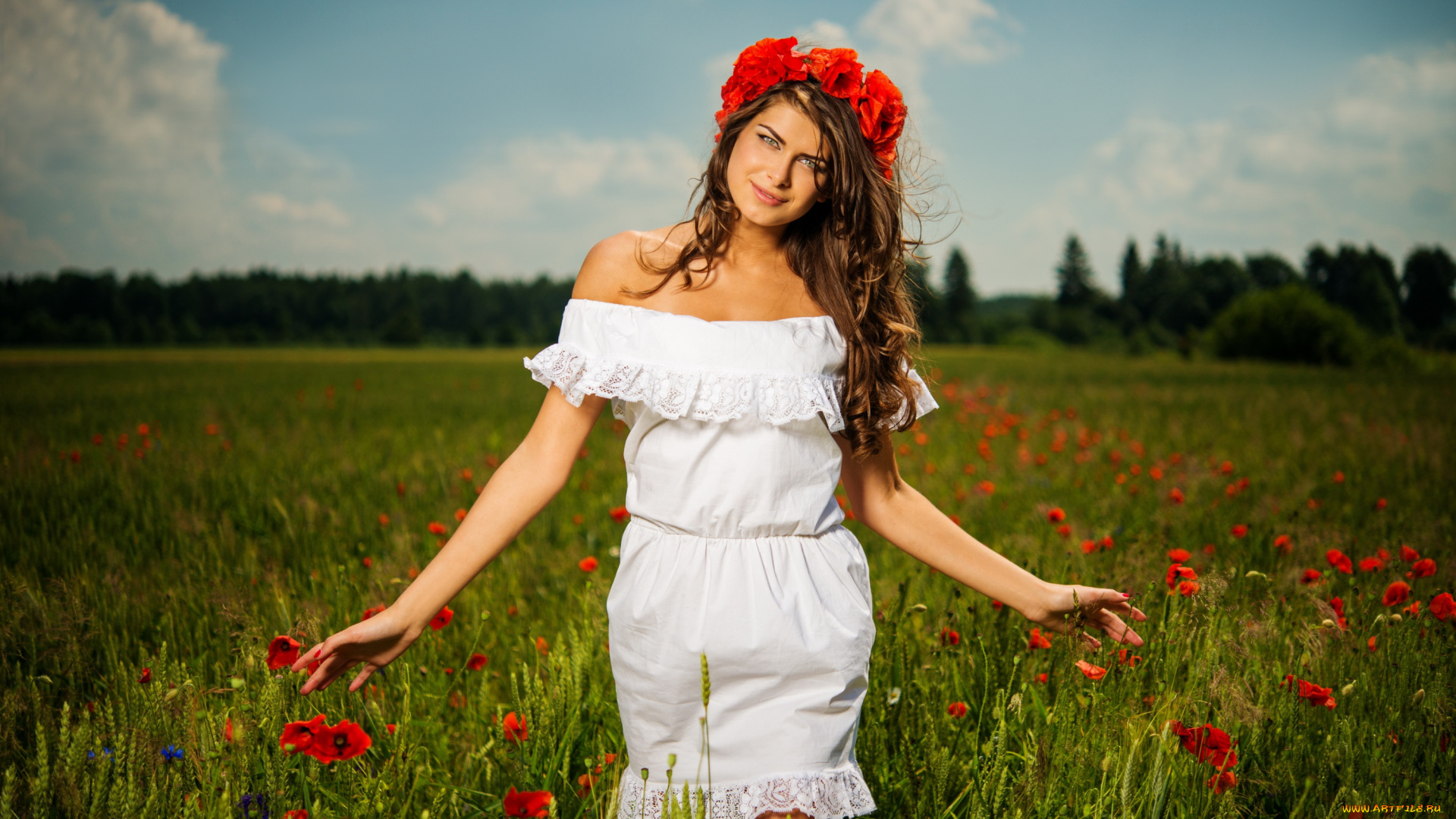 девушки, -unsort, , брюнетки, , шатенки, цветы, поле, природа, маки