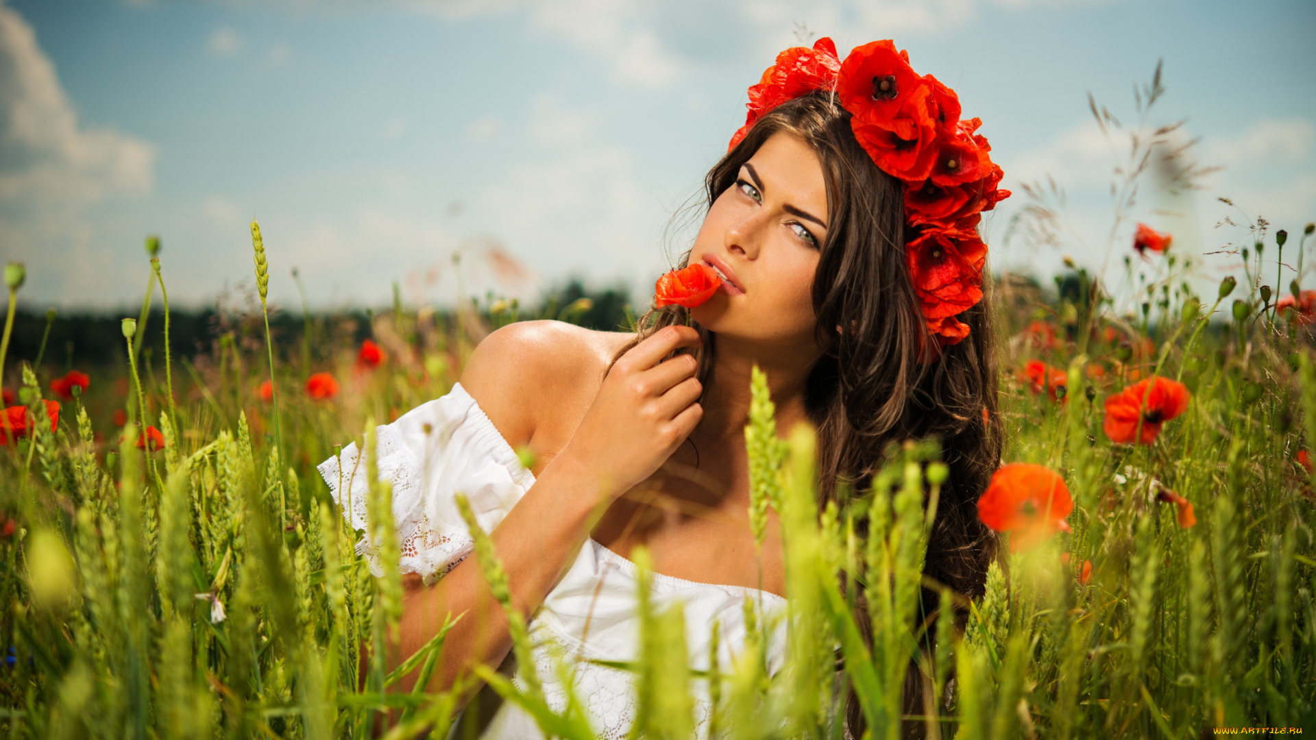 девушки, -unsort, , брюнетки, , шатенки, цветы, поле, природа, маки