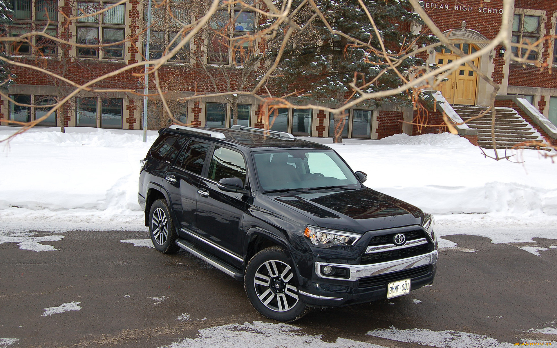 автомобили, toyota